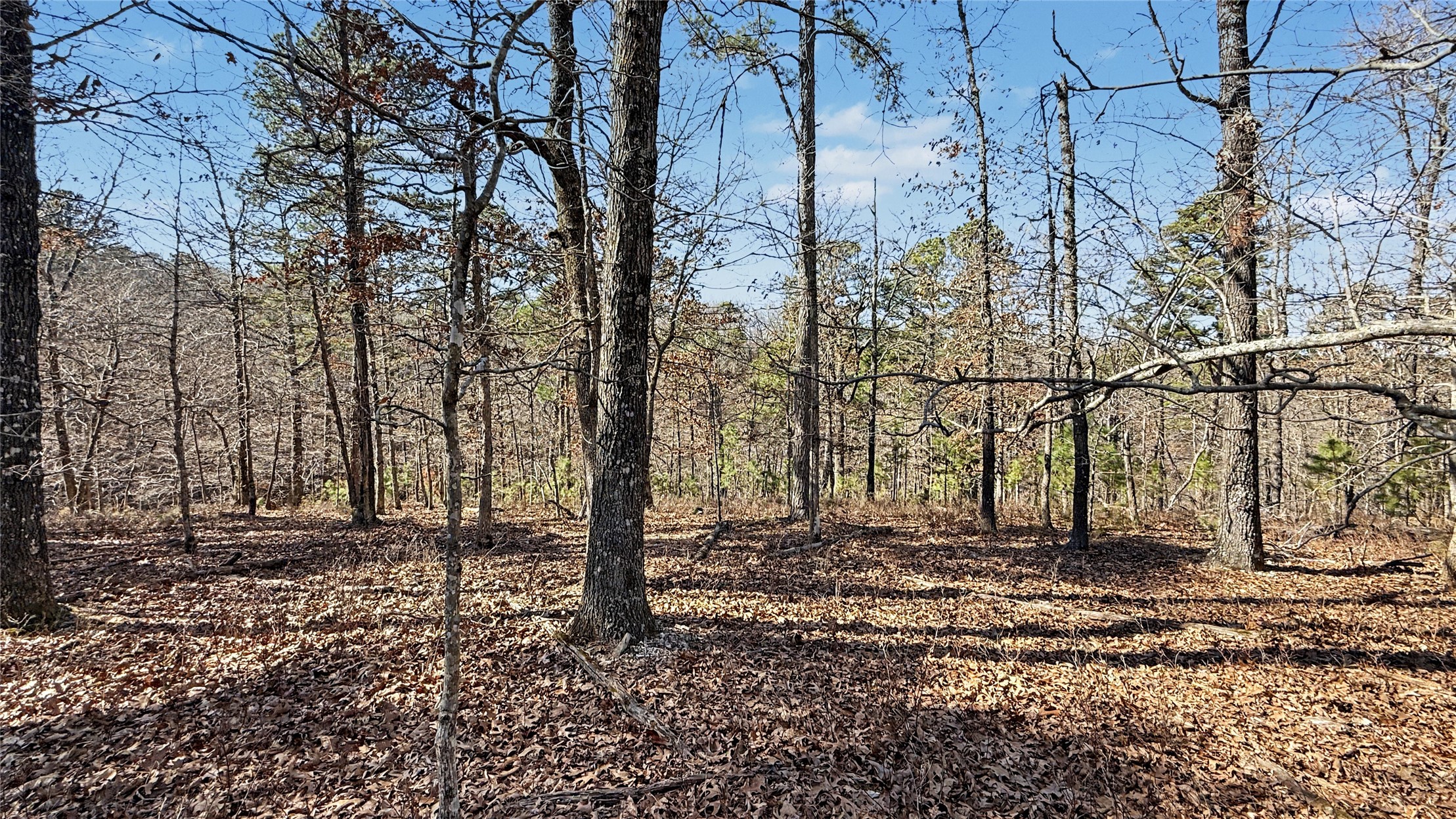 930 Pine Bark Trail Property Photo 1
