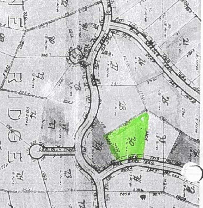 930 Pine Bark Trail Property Photo 10