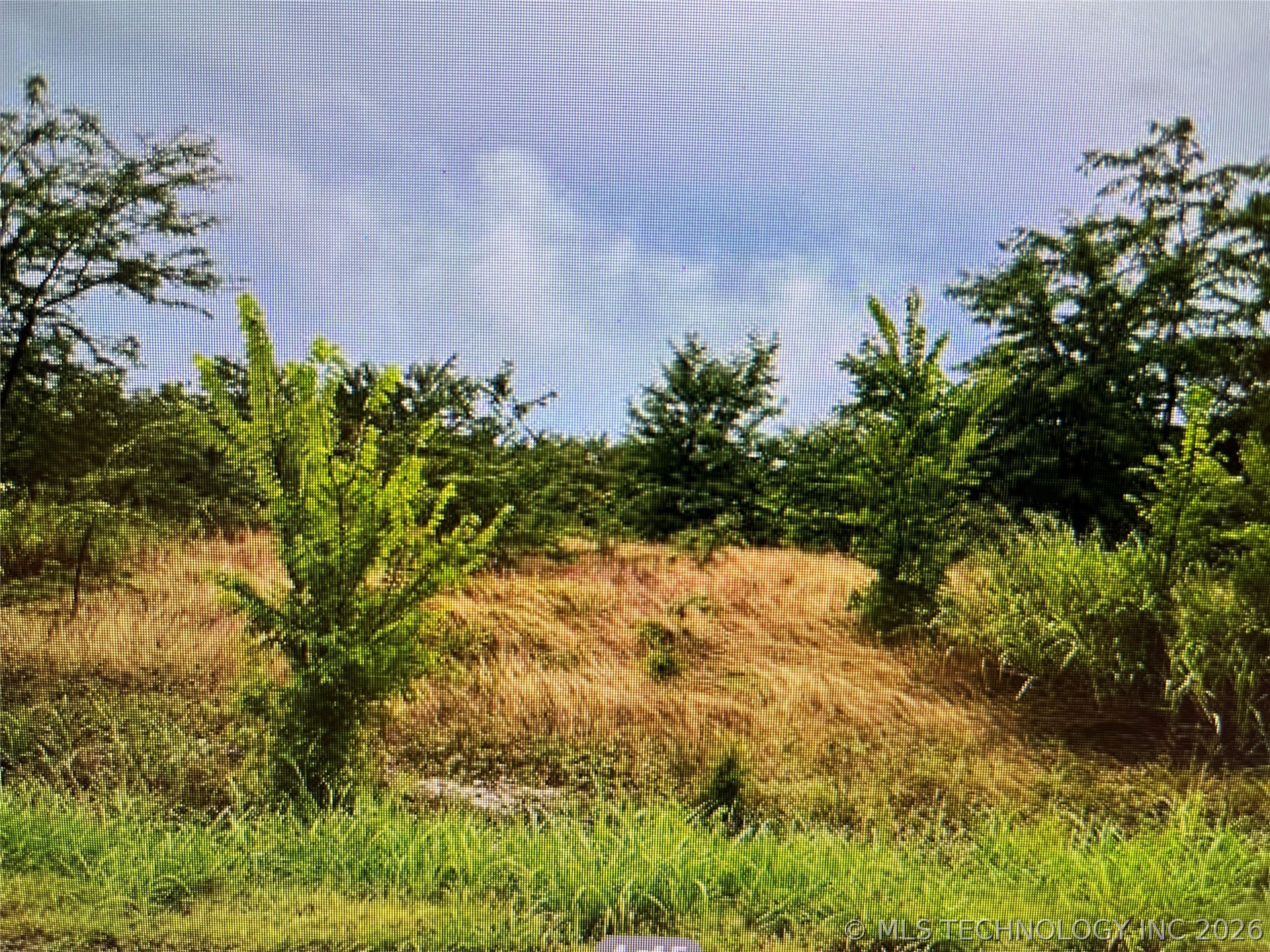 1299 Hwy 70 Highway Property Photo 5
