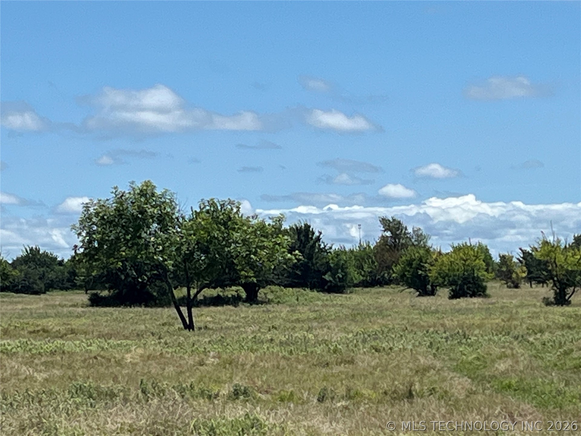 County Rd 3800 Road Property Photo 9