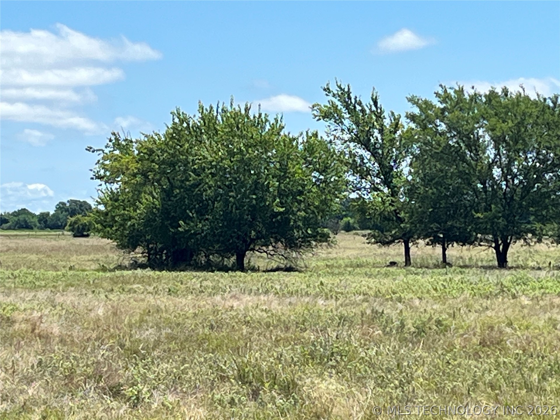 County Rd 3800 Road Property Photo 10