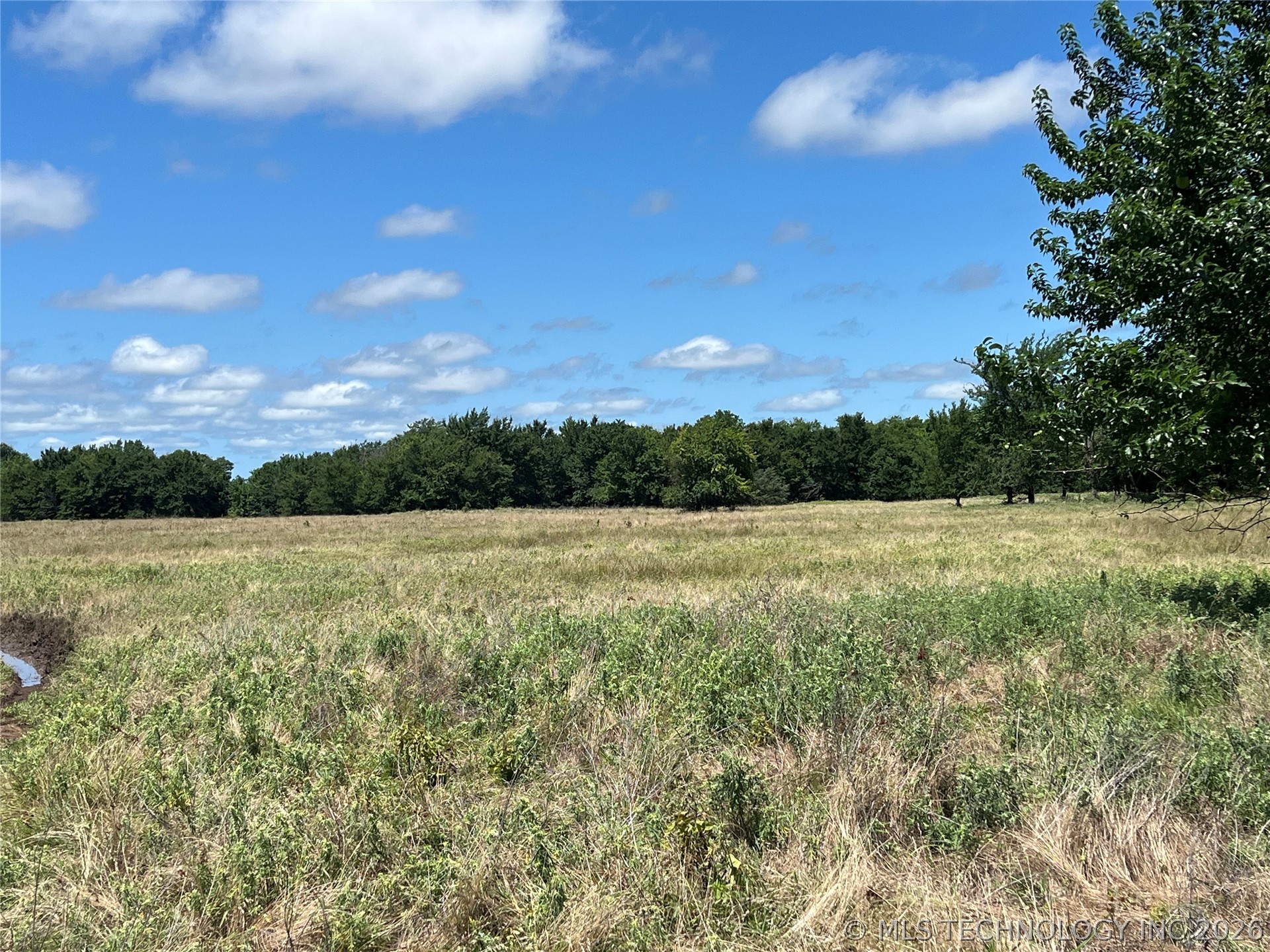 County Rd 3800 Road Property Photo 11