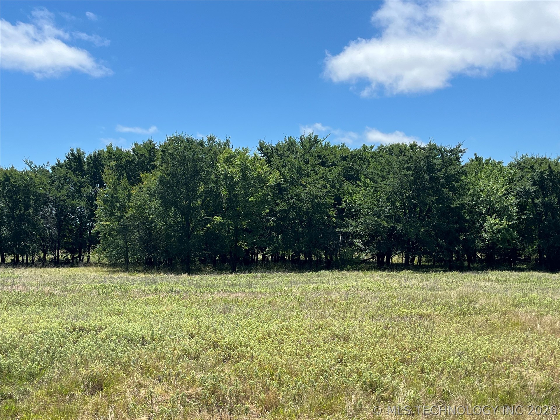 County Rd 3800 Road Property Photo 14