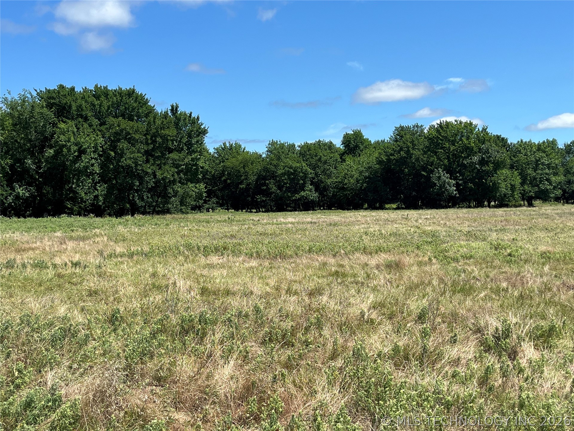 County Rd 3800 Road Property Photo 16