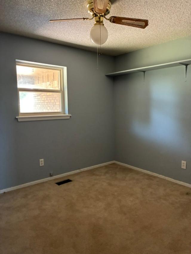 127 Meadowview Street Property Photo 7