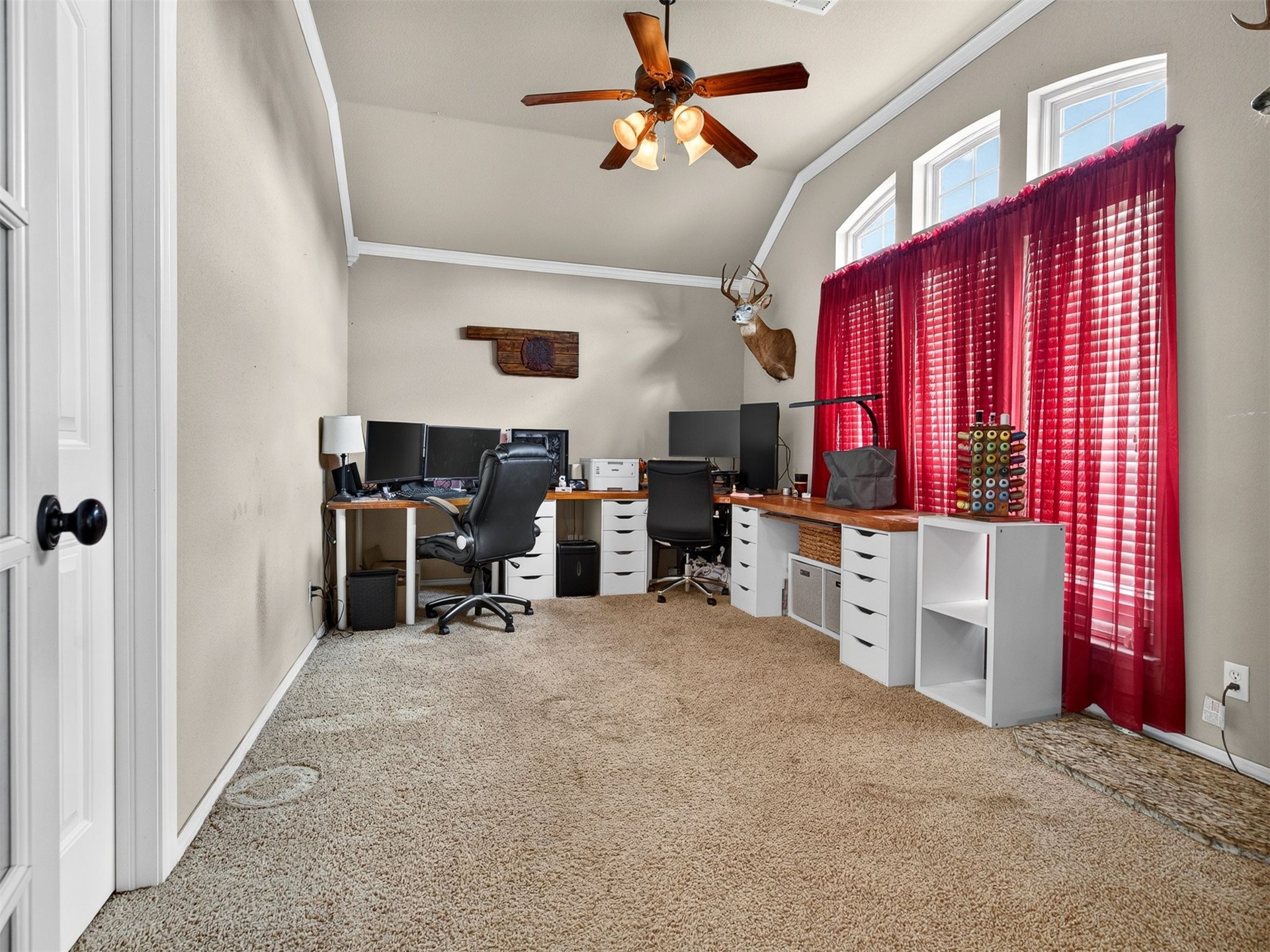 4443 Walnut Street Property Photo 36