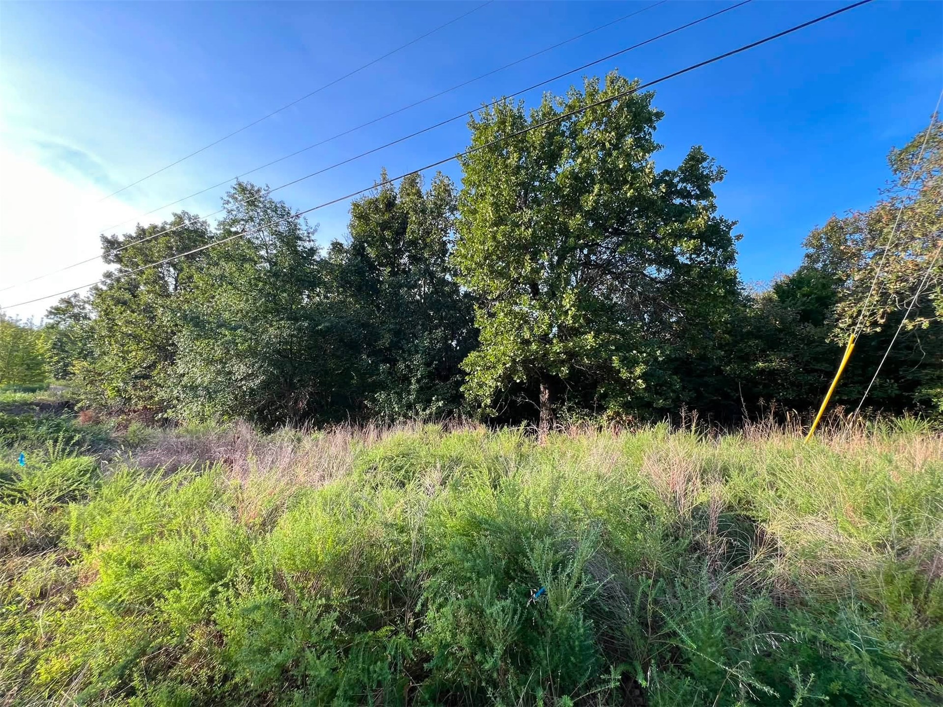 960 Road E Property Photo 2