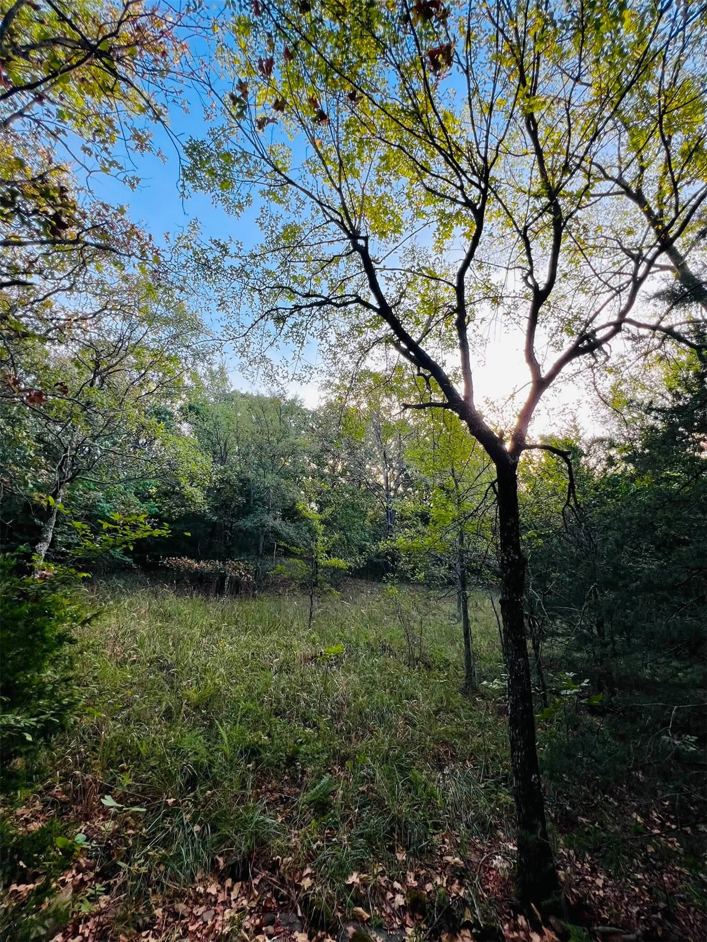 960 Road E Property Photo 3