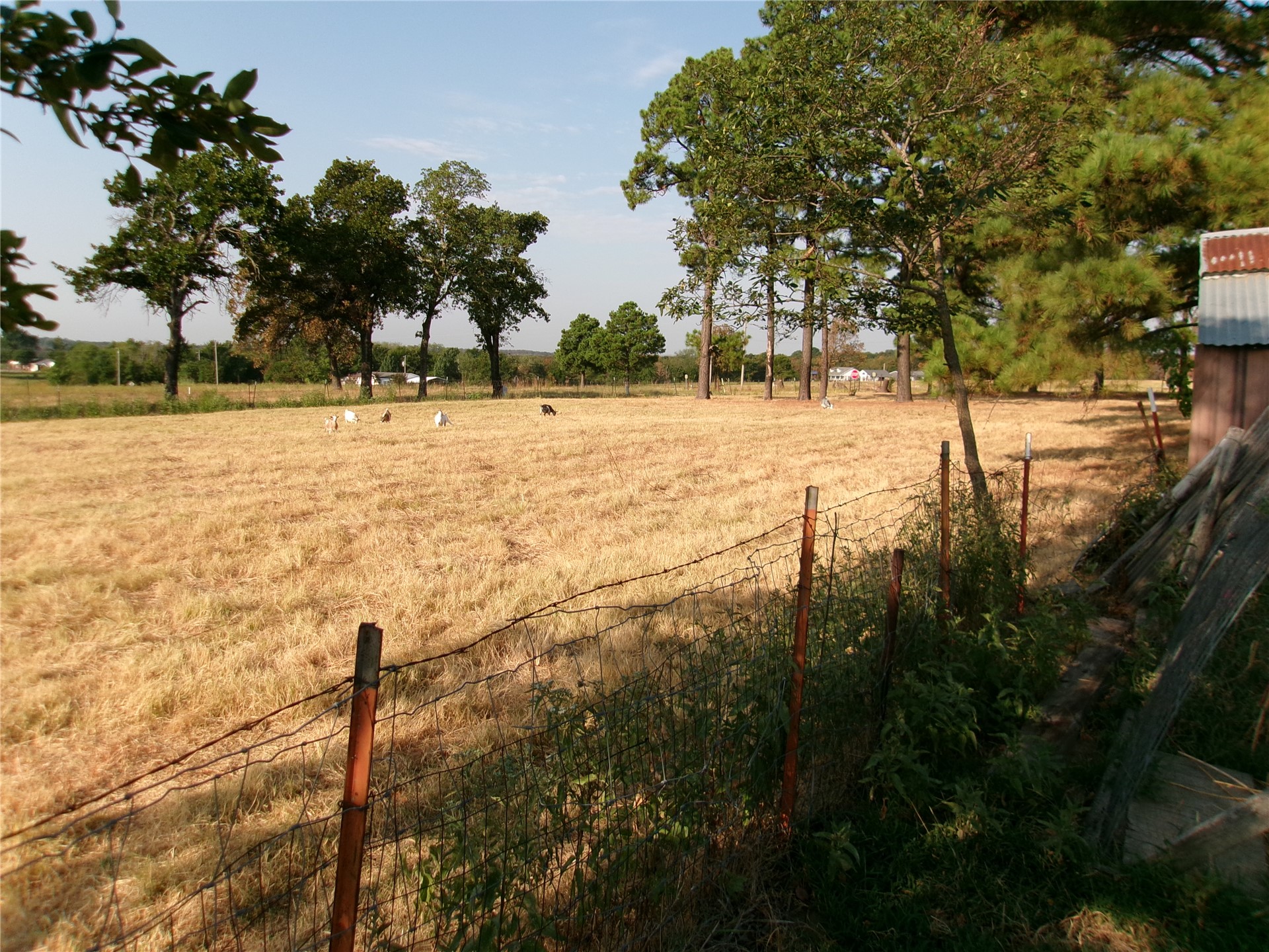 1906 Pyle Mountain Road Property Photo 12
