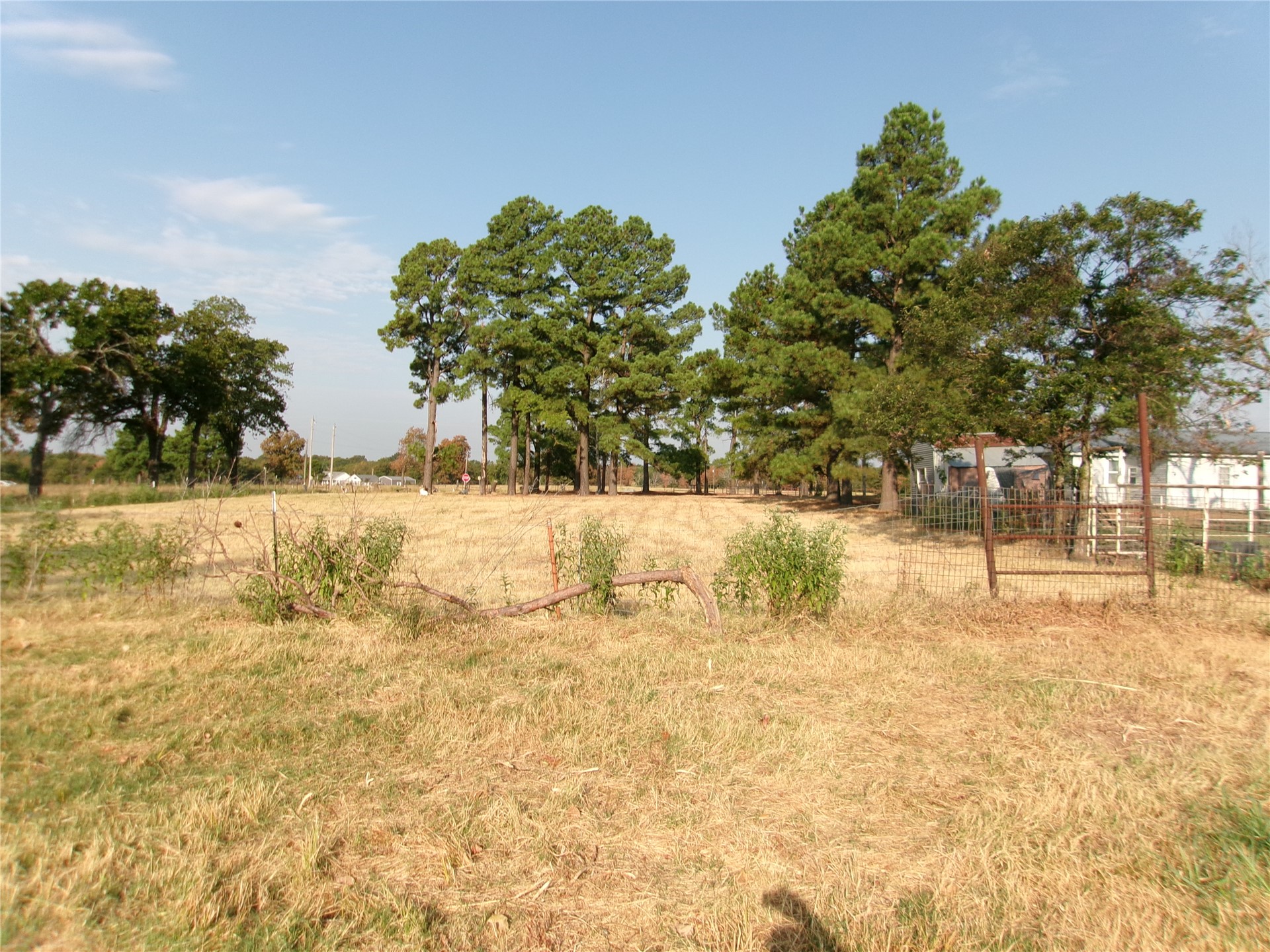 1906 Pyle Mountain Road Property Photo 16