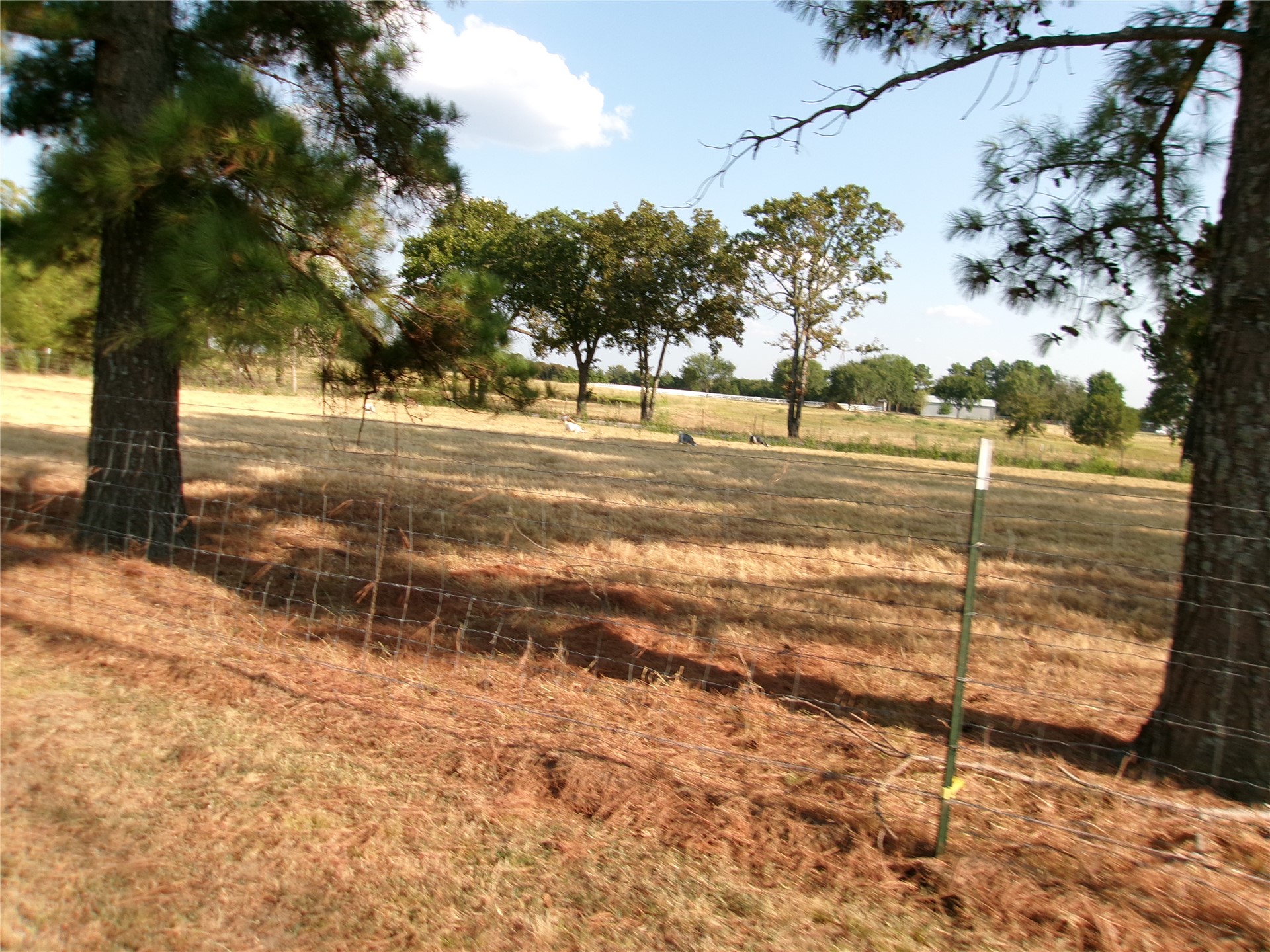1906 Pyle Mountain Road Property Photo 19