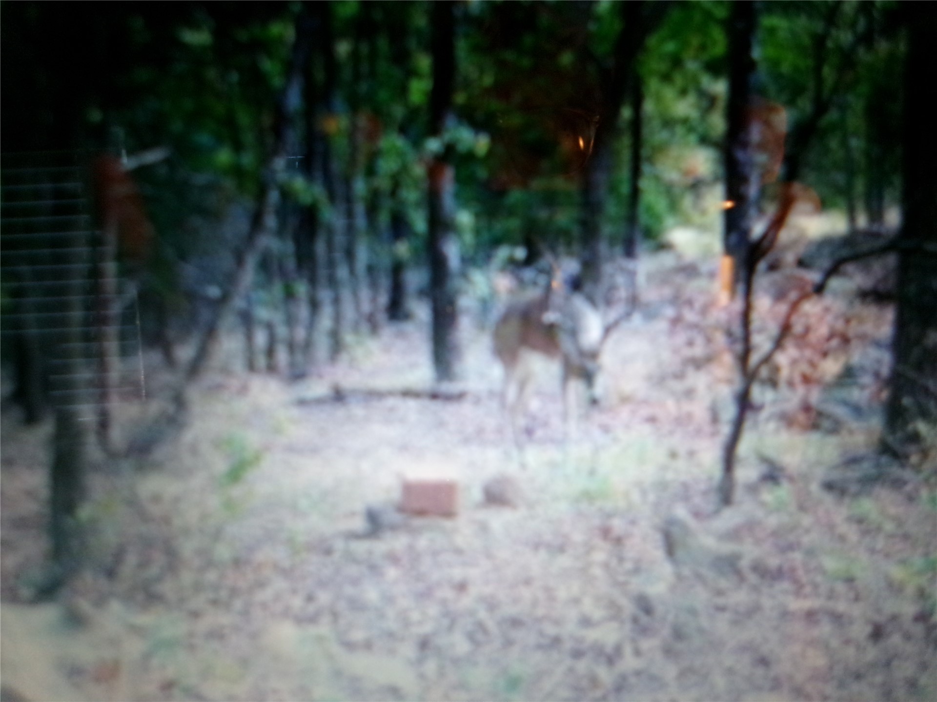 1906 Pyle Mountain Road Property Photo 71