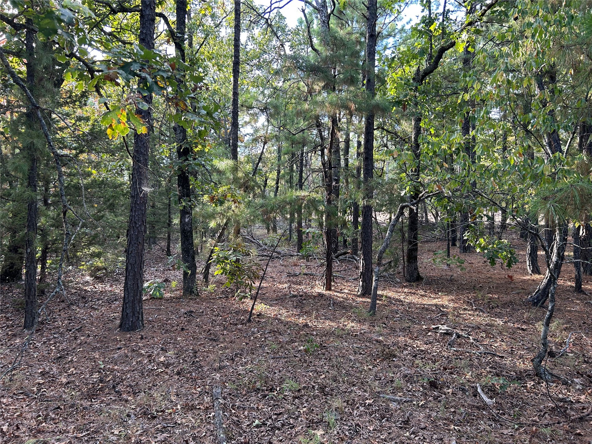 2632216 Property Photo 15