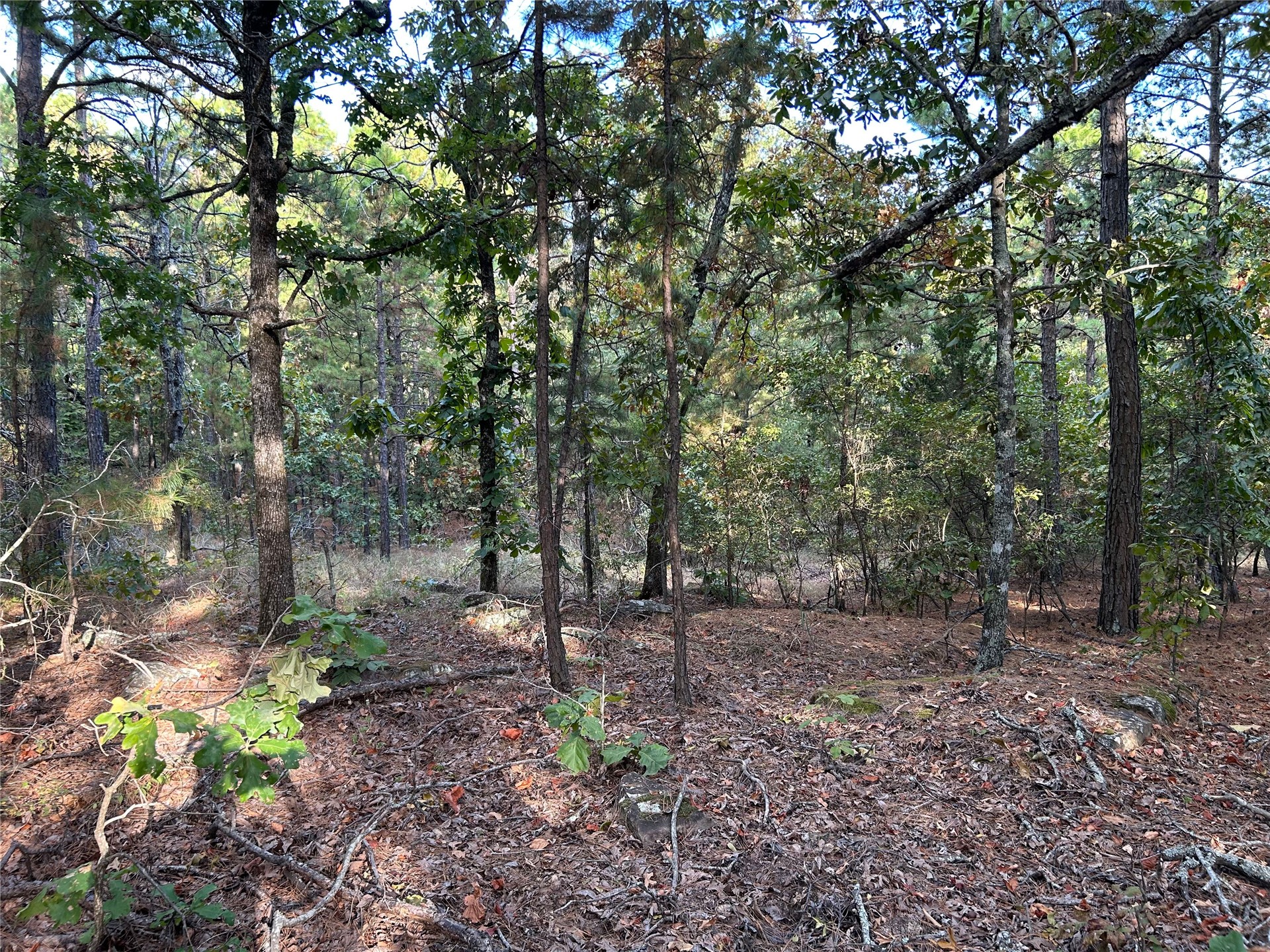 2632216 Property Photo 16