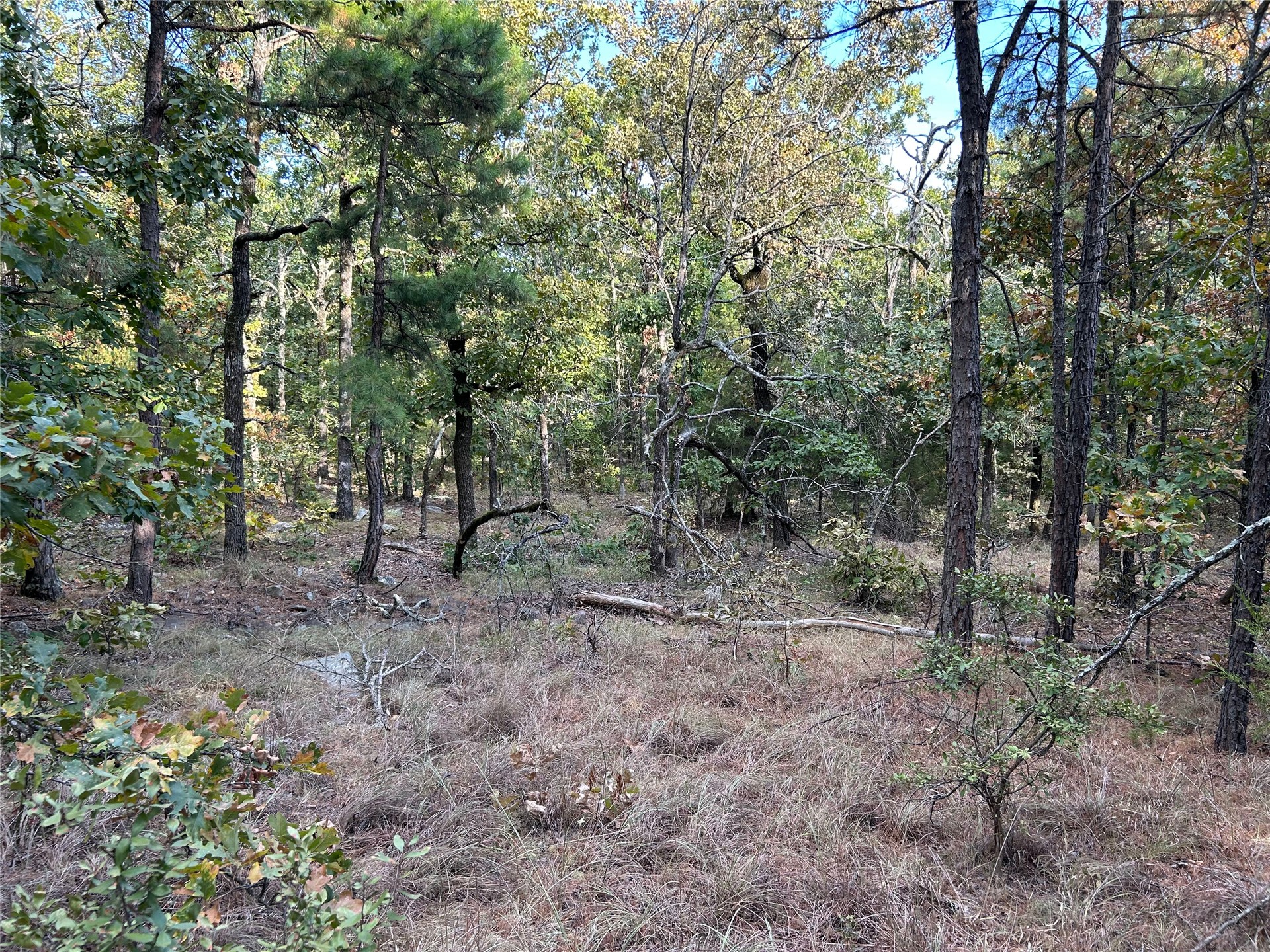 2632216 Property Photo 17