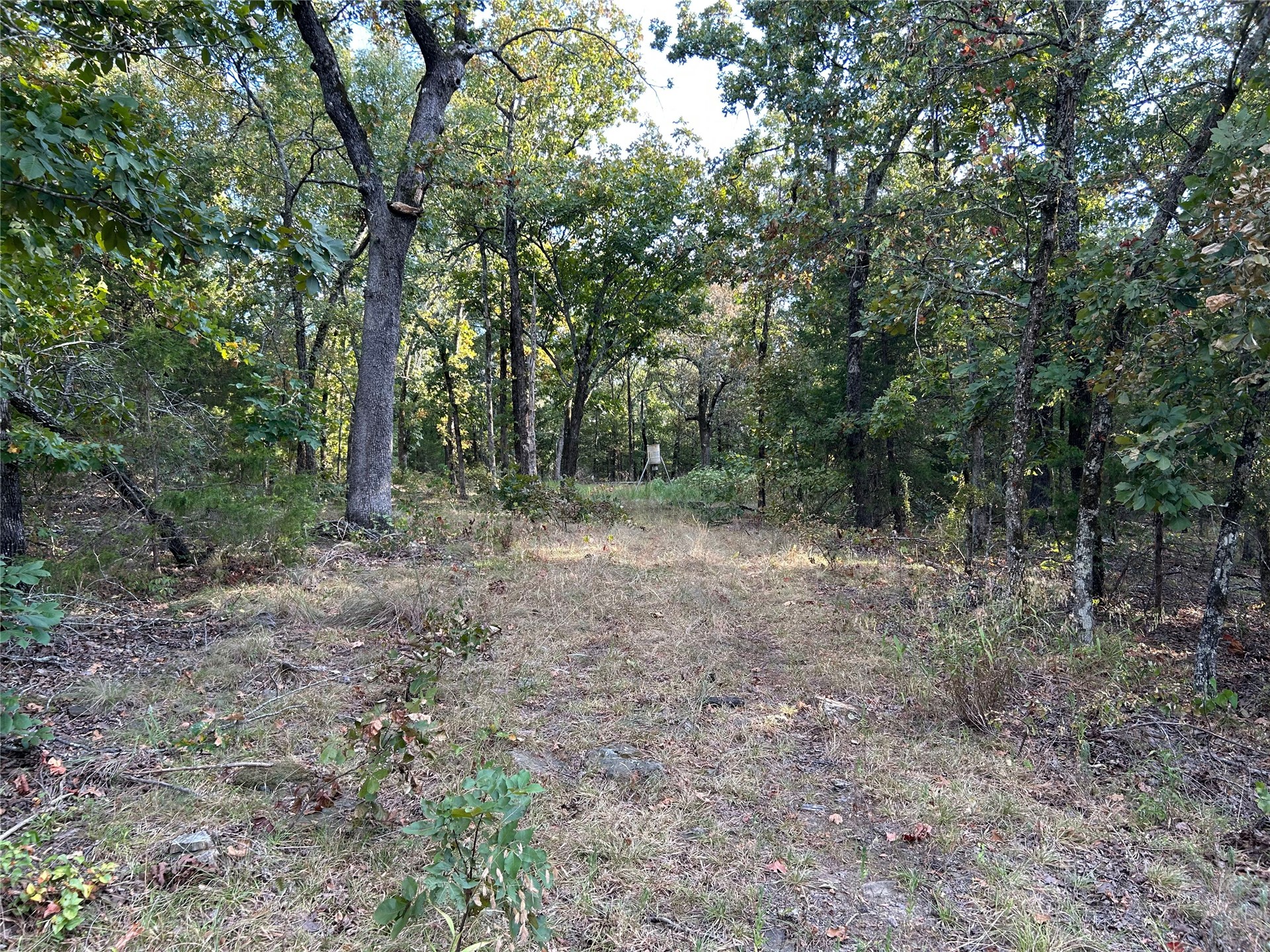 2632216 Property Photo 20