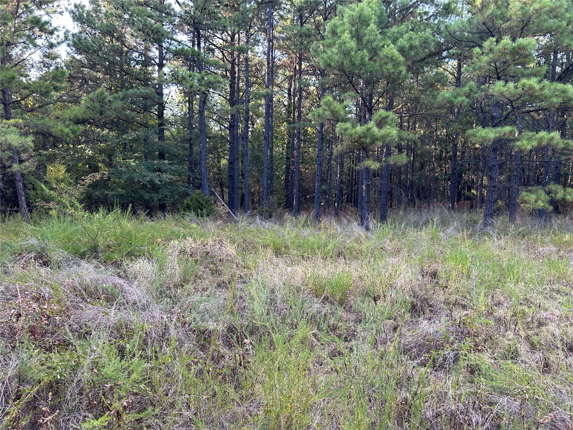 2632216 Property Photo 22
