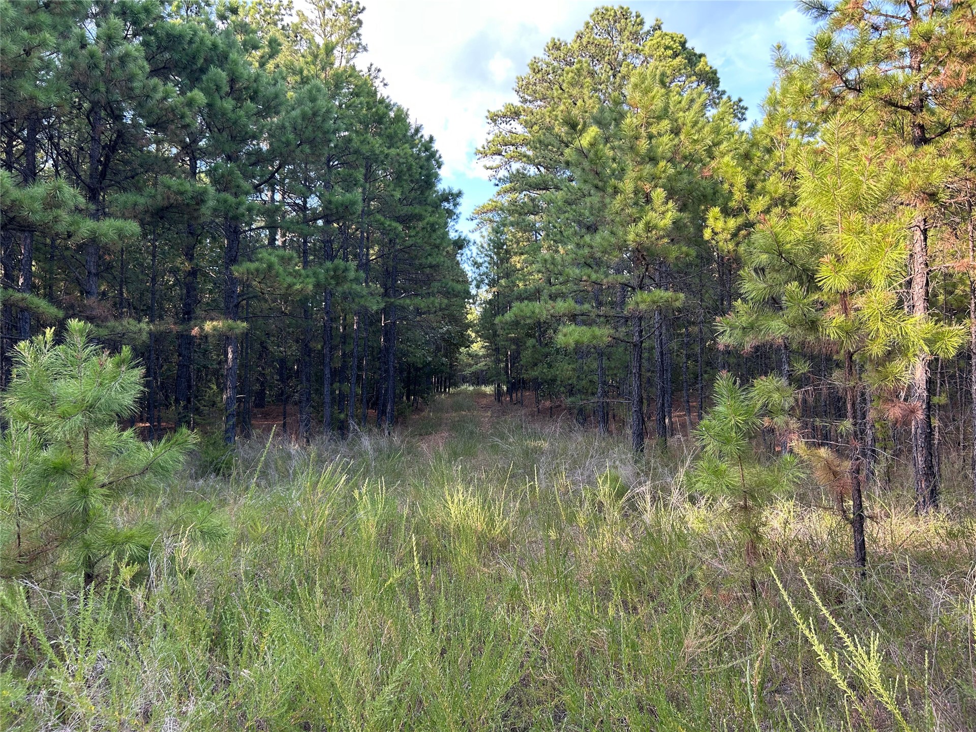 2632216 Property Photo 23