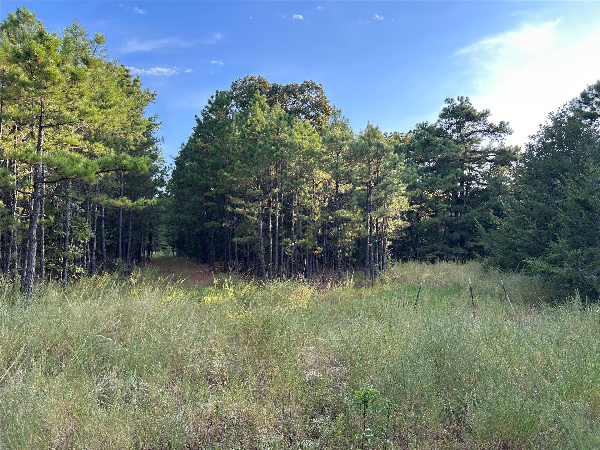 2632216 Property Photo 24