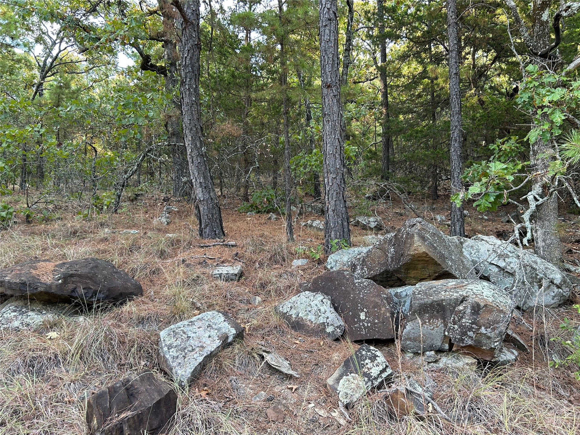 2632216 Property Photo 25