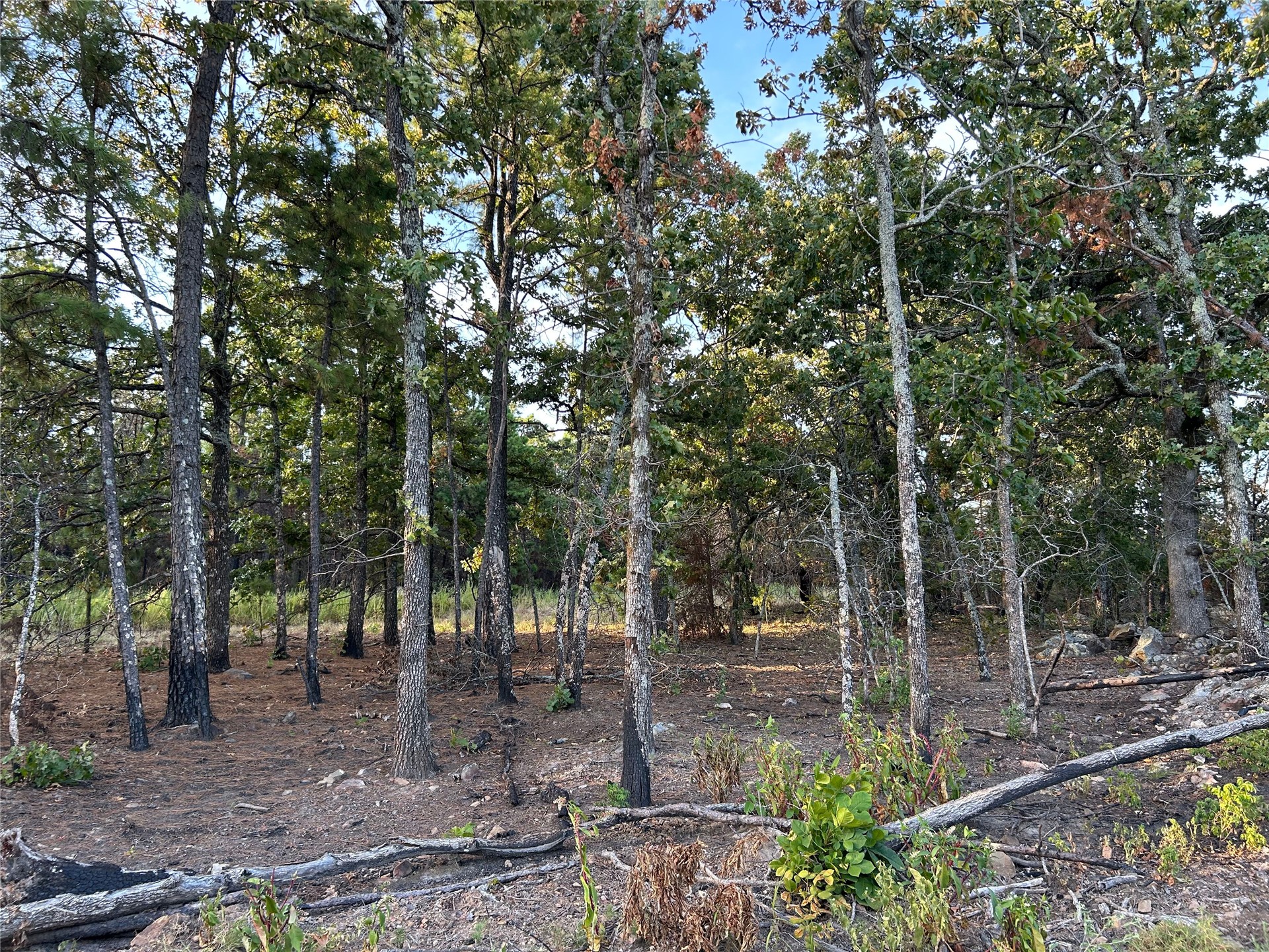 2632216 Property Photo 28