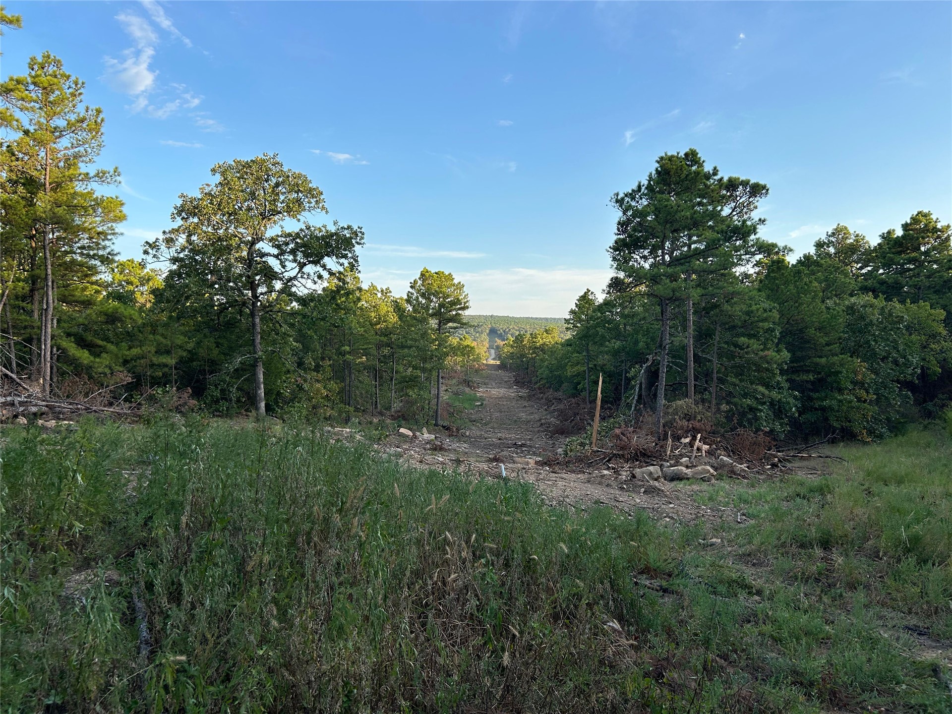 2632216 Property Photo 29
