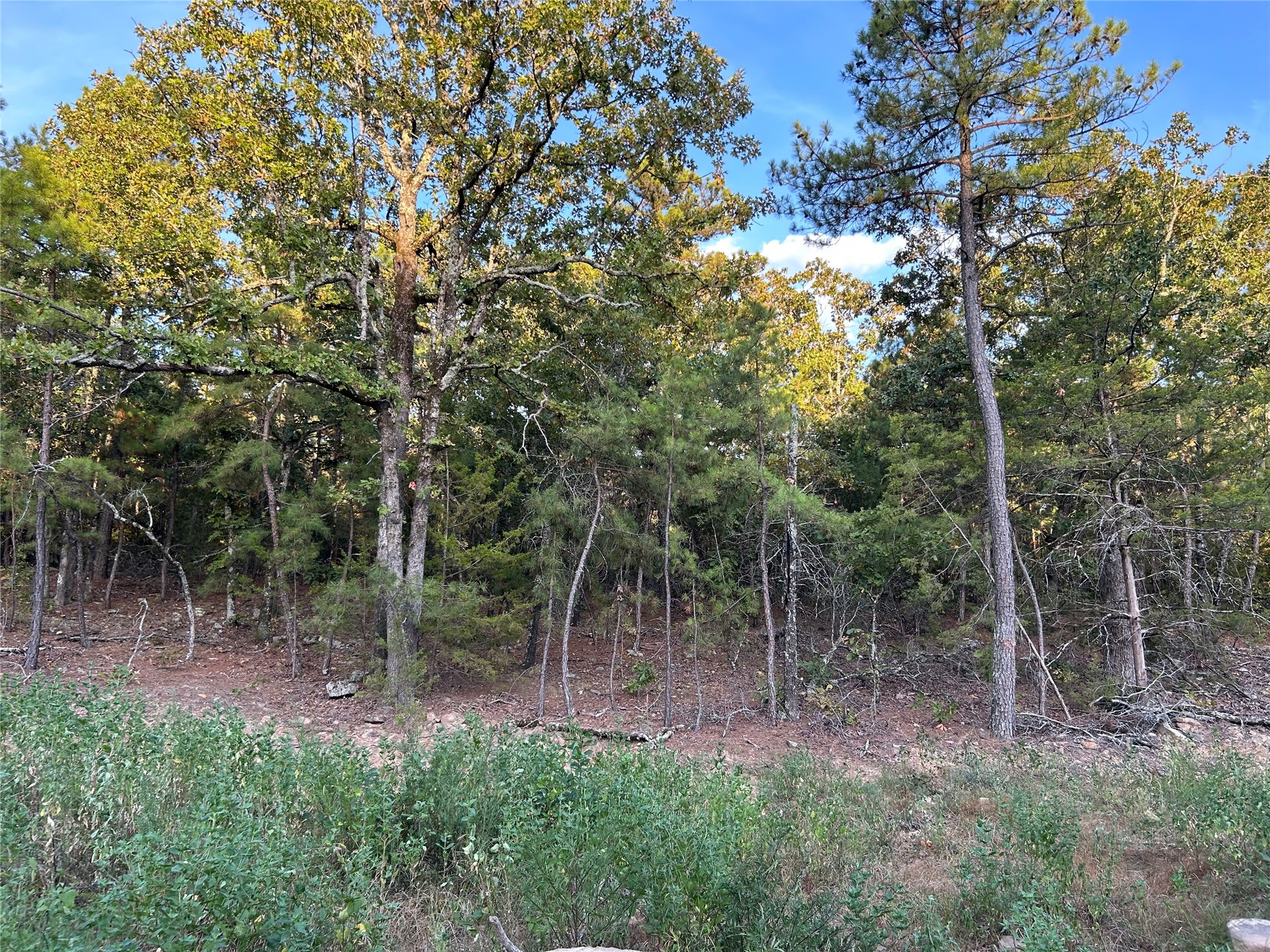 2632216 Property Photo 30