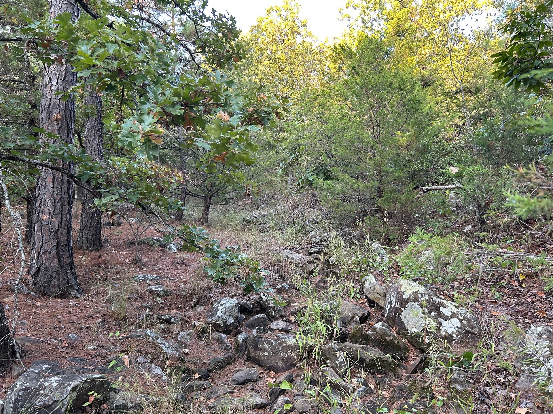 2632216 Property Photo 31