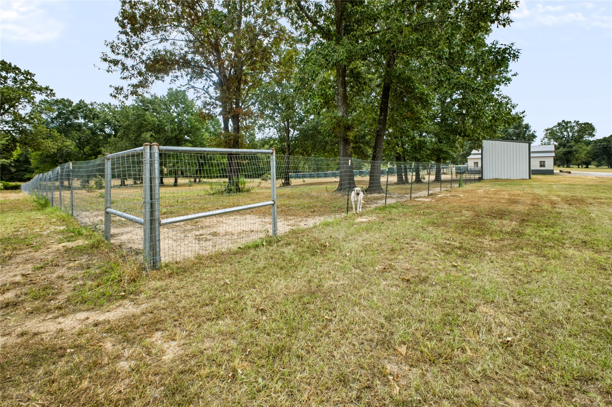 3597 Half Bank Road Property Photo 69