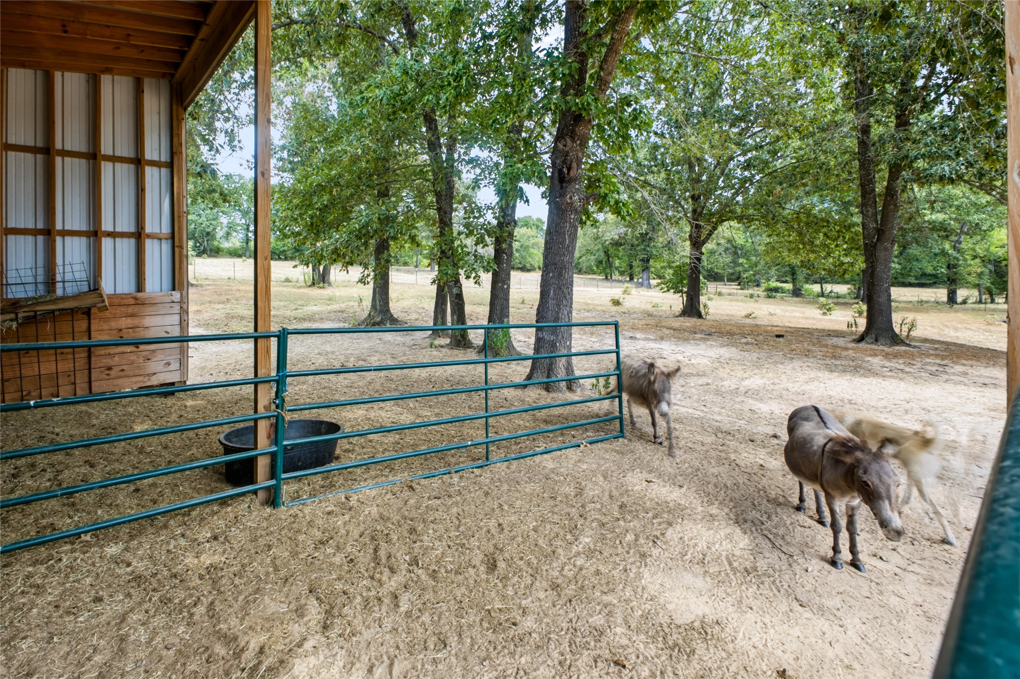 3597 Half Bank Road Property Photo 72