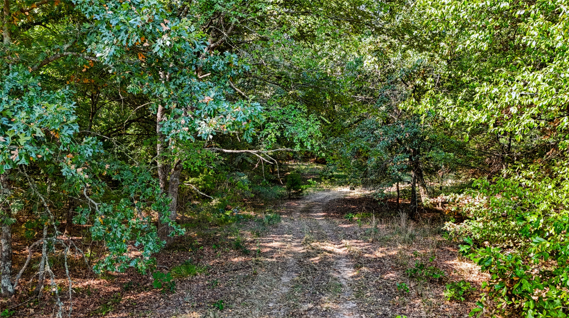 3597 Half Bank Road Property Photo 86