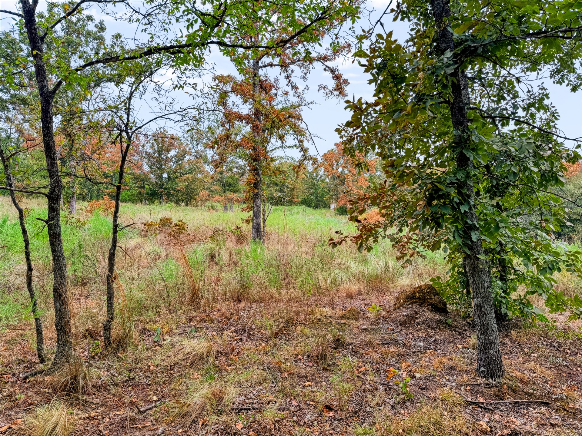 3607 S Half Bank Road Property Photo 62