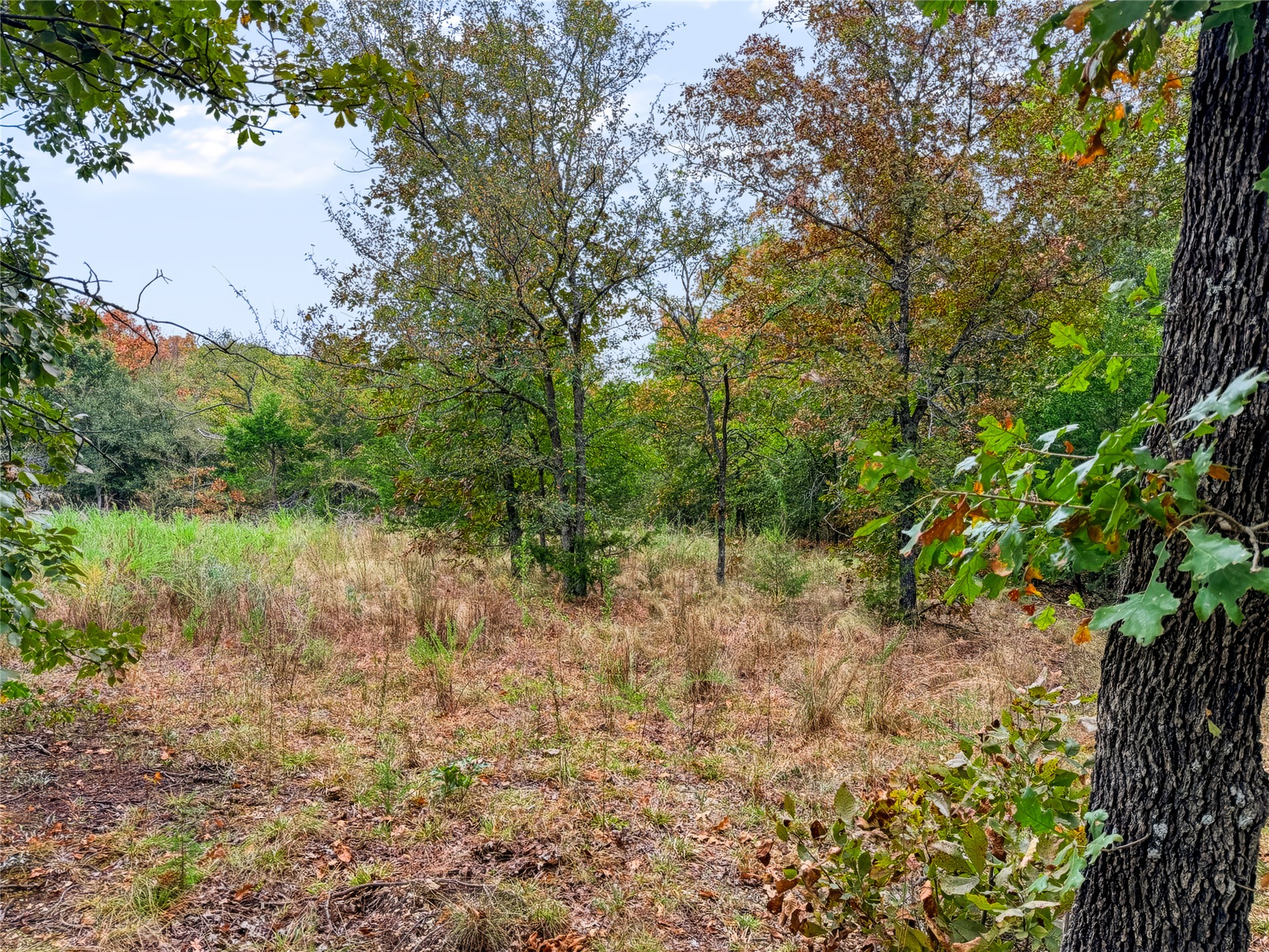 3607 S Half Bank Road Property Photo 63