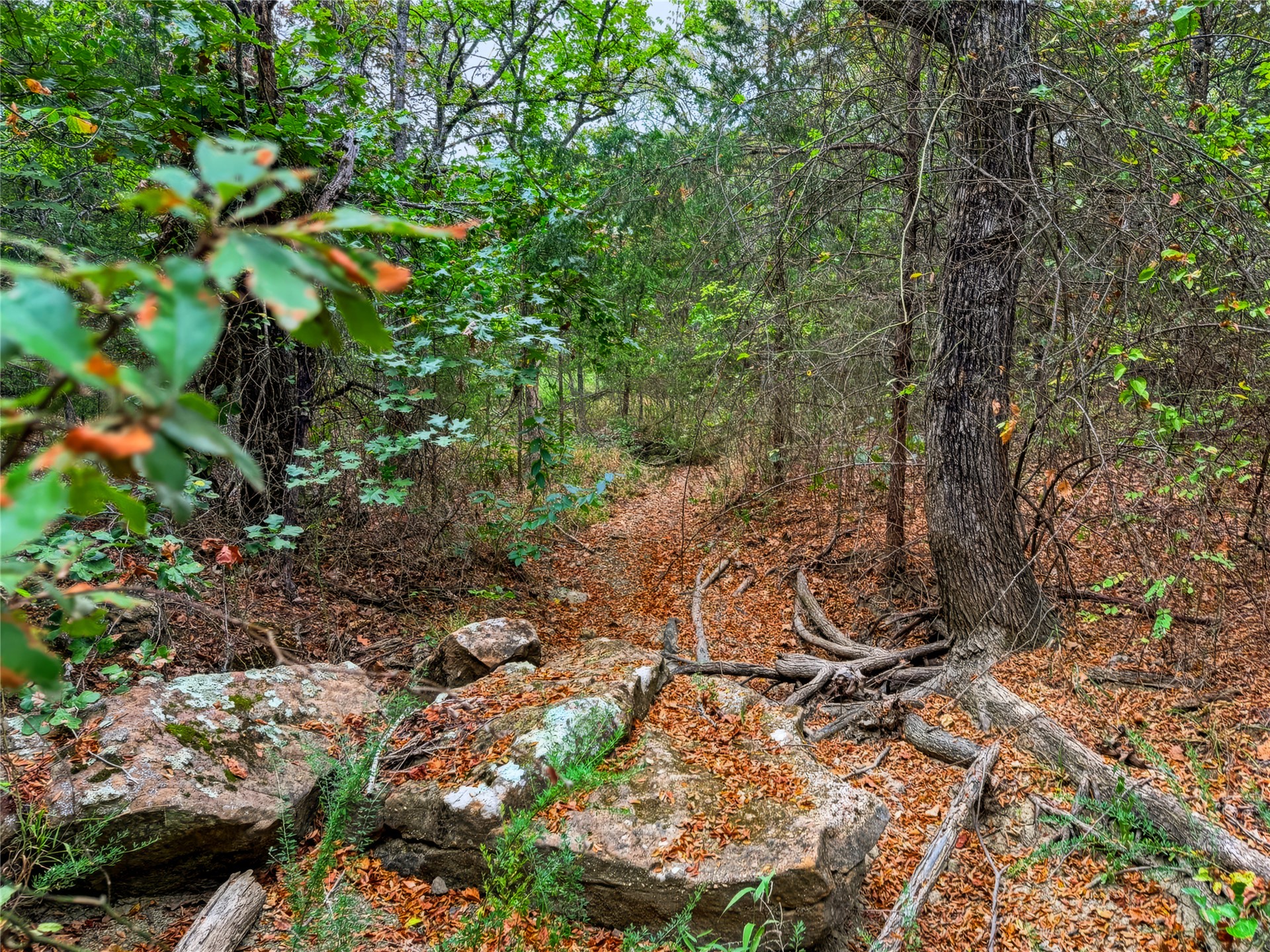 3607 S Half Bank Road Property Photo 64