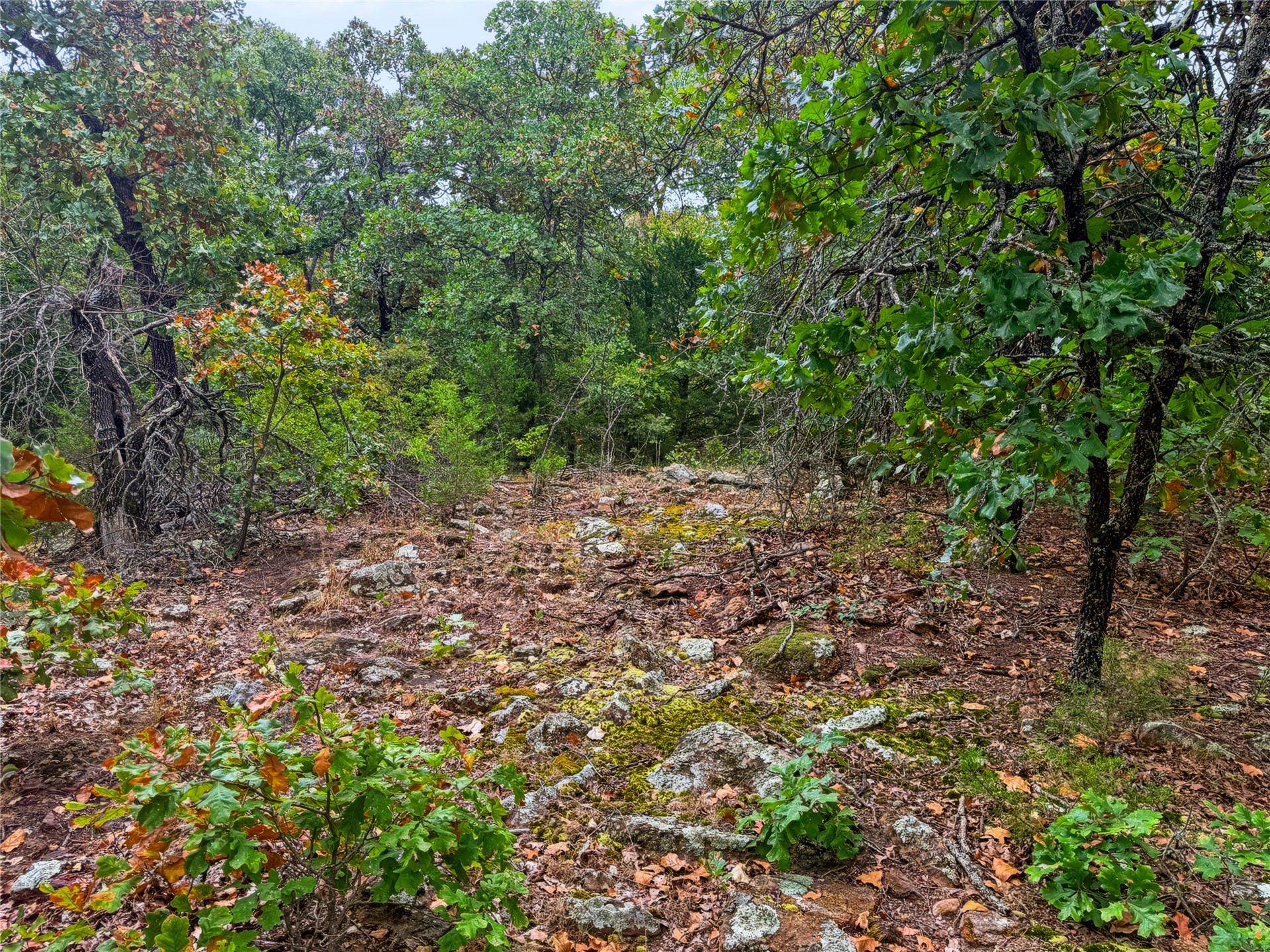3607 S Half Bank Road Property Photo 65