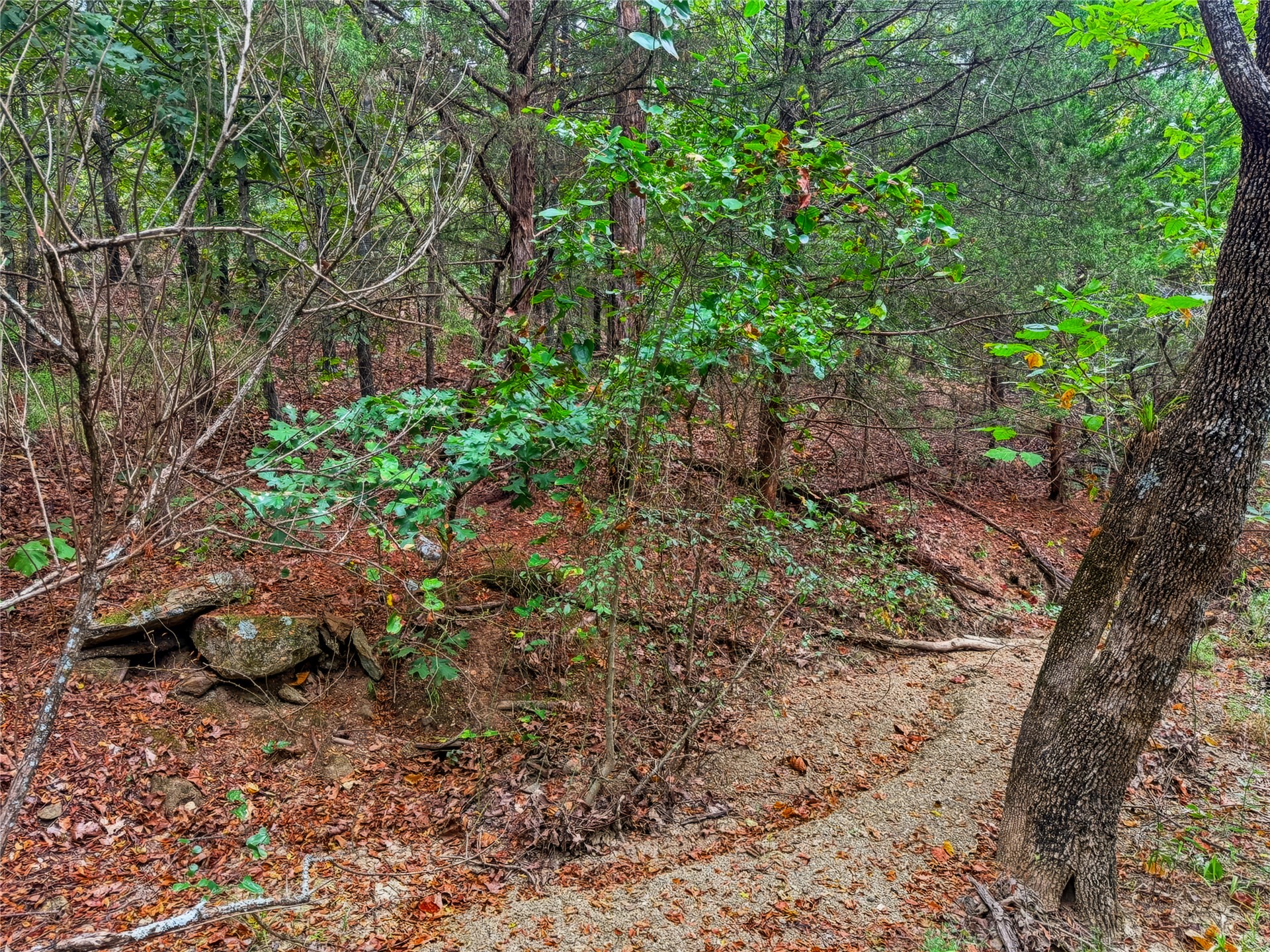 3607 S Half Bank Road Property Photo 66