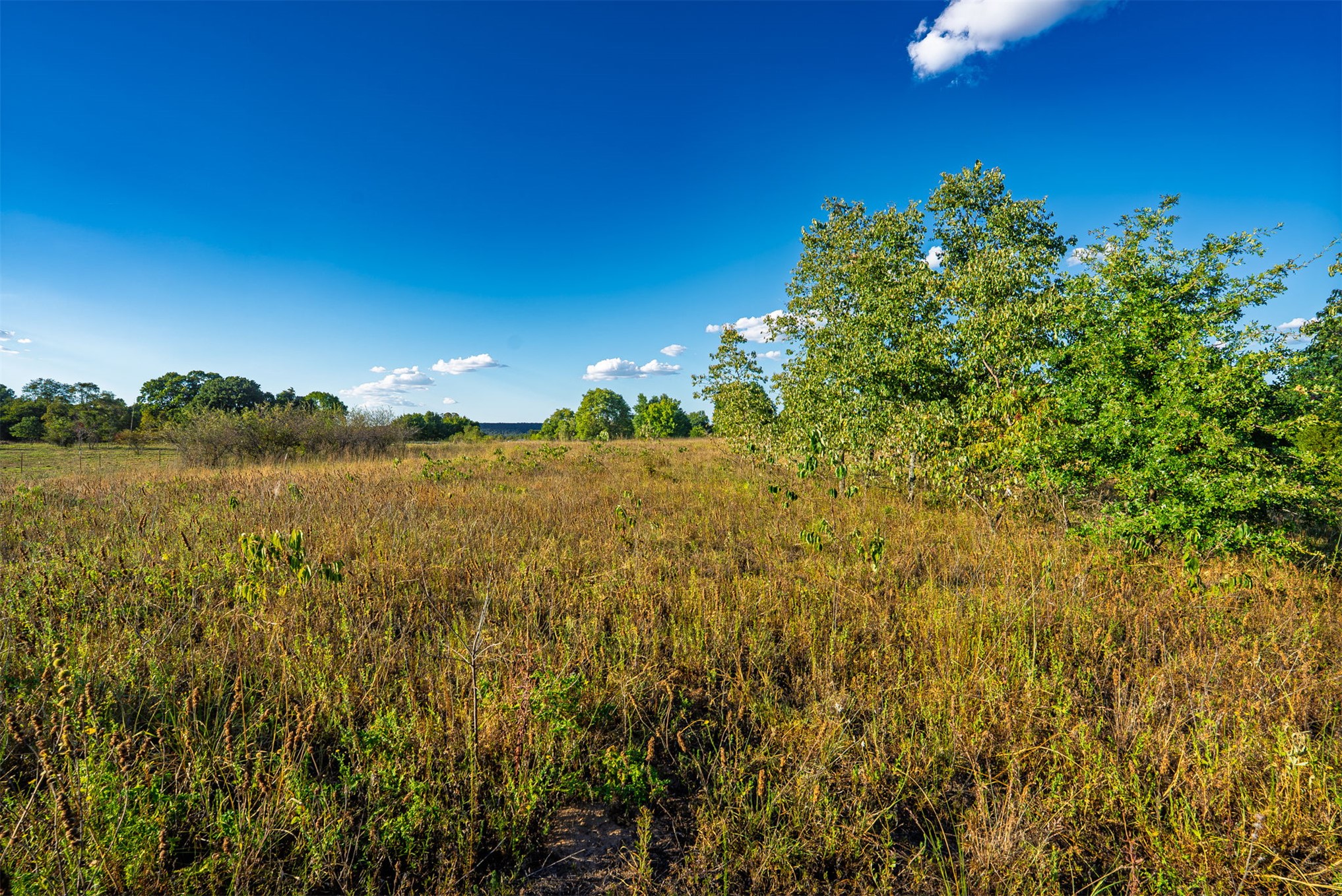 33 N 4256 Road Property Photo 31