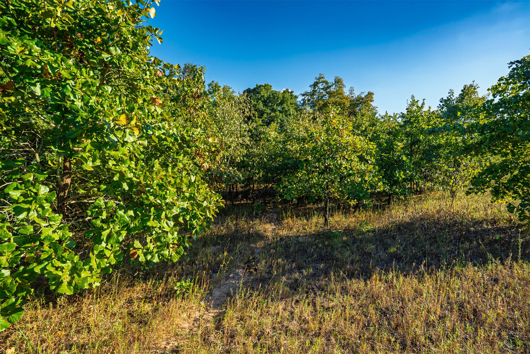 33 N 4256 Road Property Photo 32