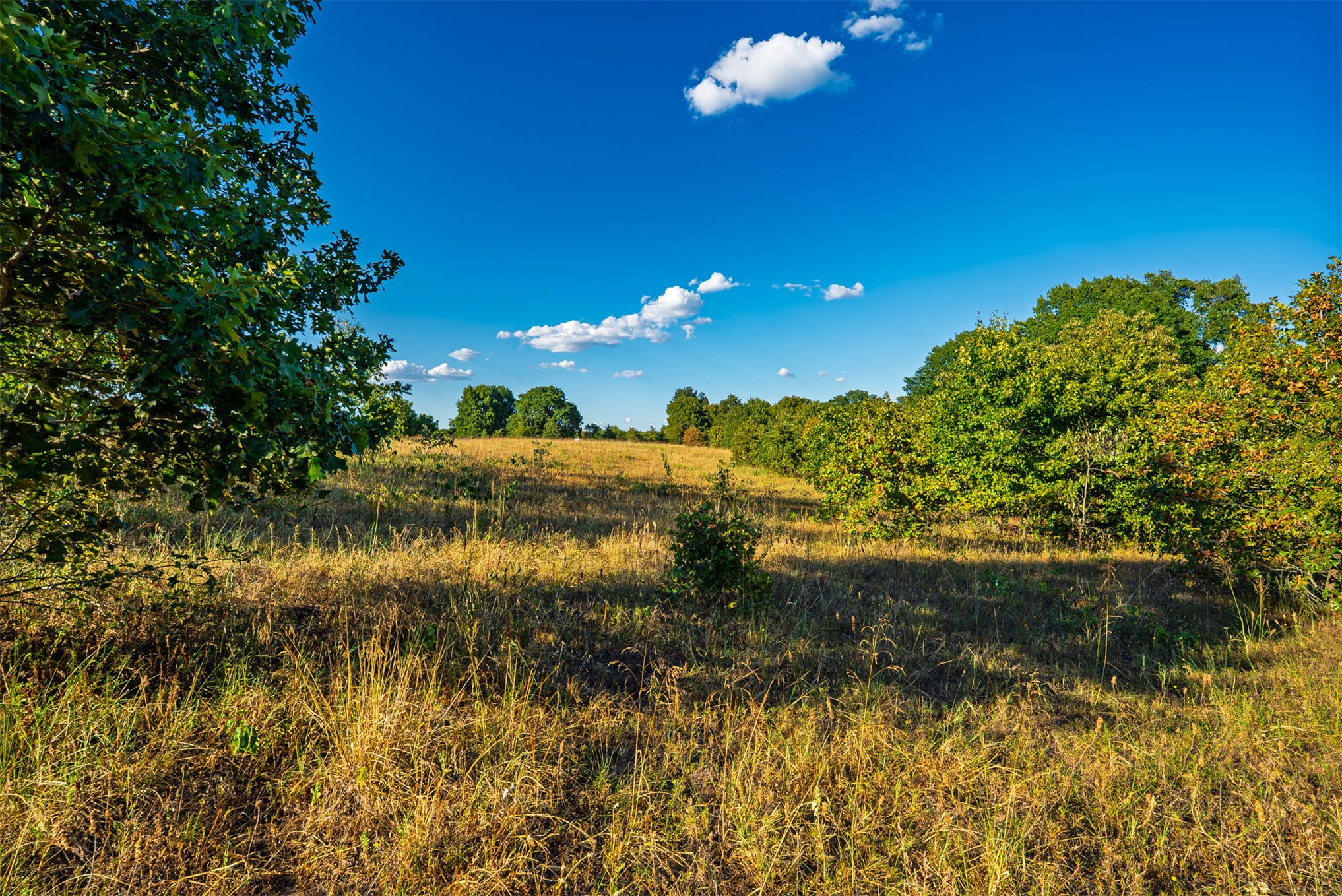 33 N 4256 Road Property Photo 33