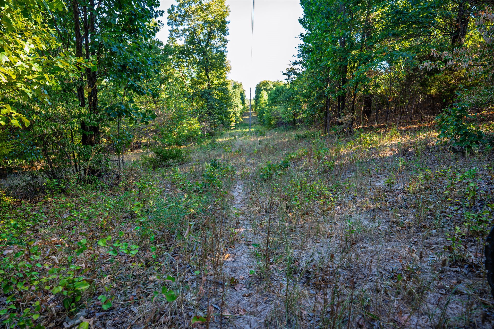33 N 4256 Road Property Photo 34
