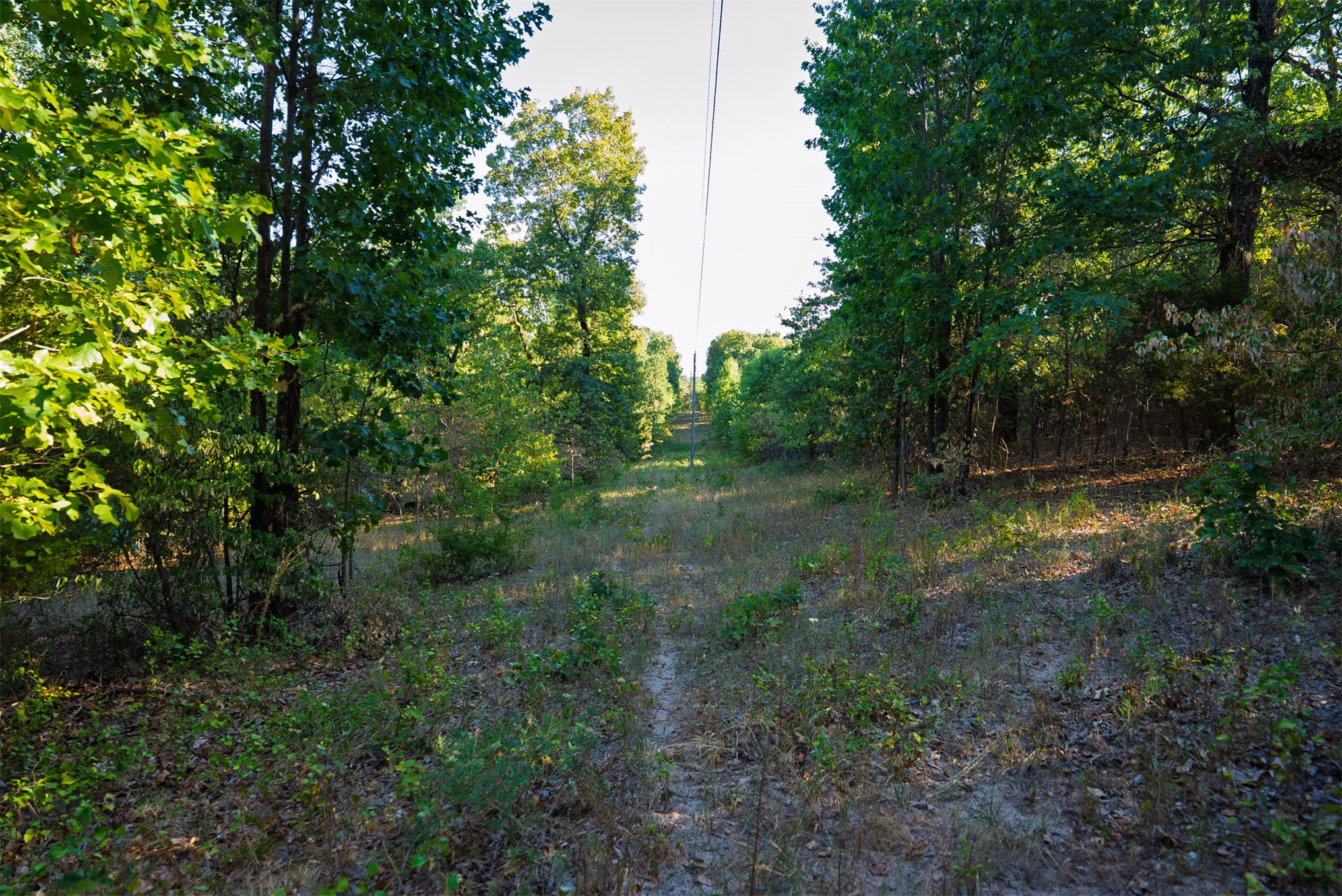 33 N 4256 Road Property Photo 35