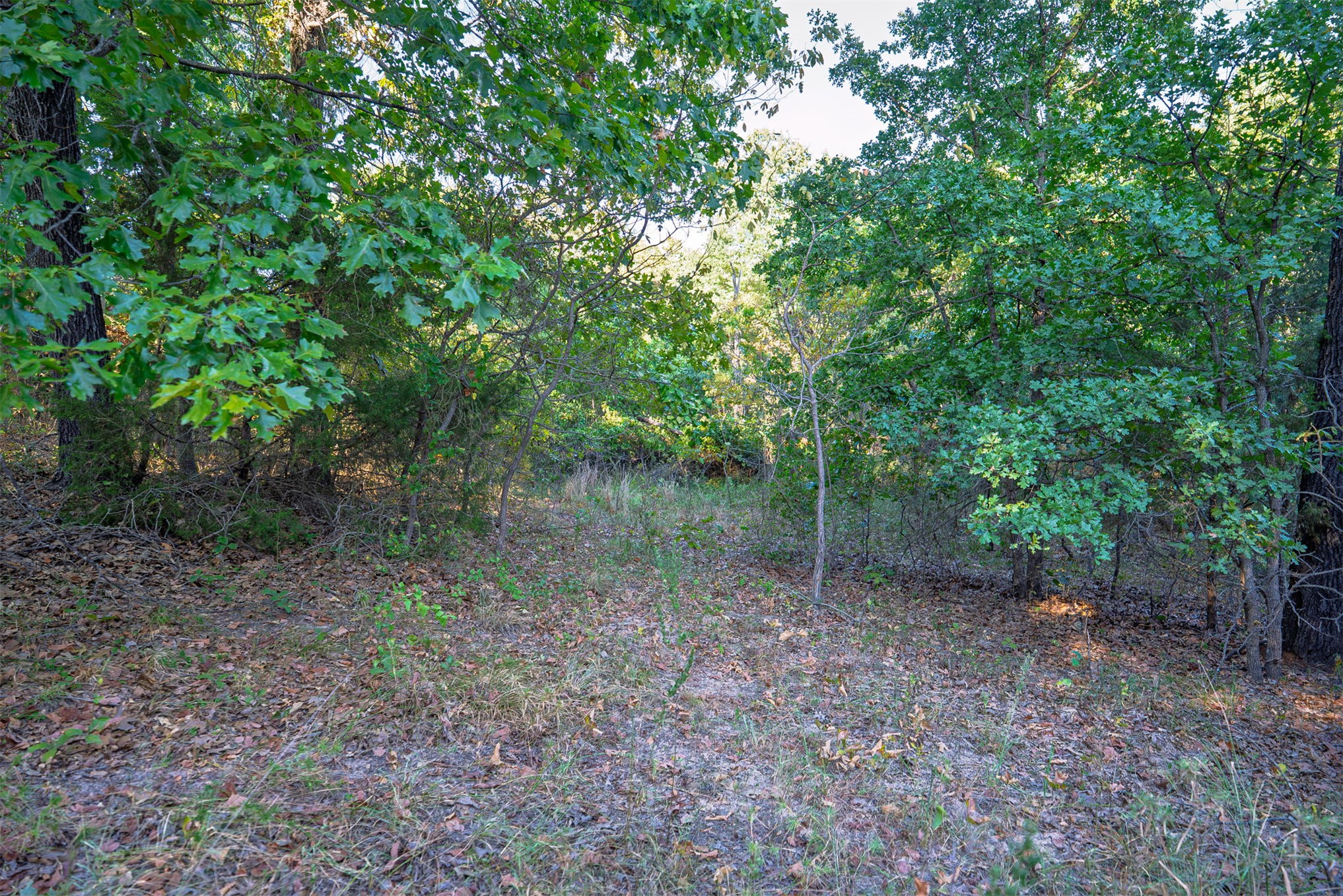 33 N 4256 Road Property Photo 36