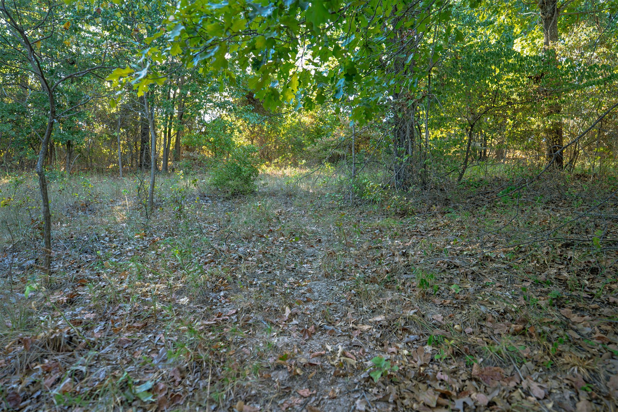 33 N 4256 Road Property Photo 37