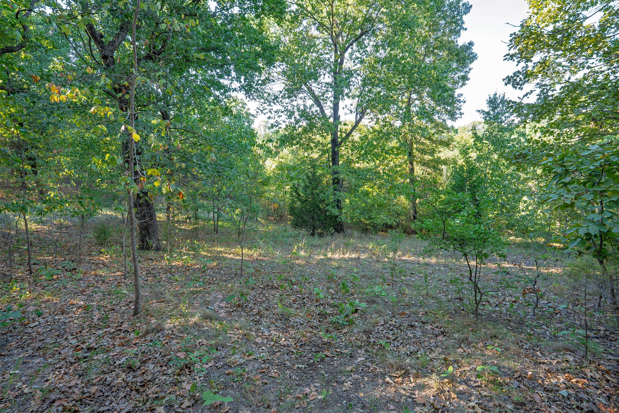 33 N 4256 Road Property Photo 38