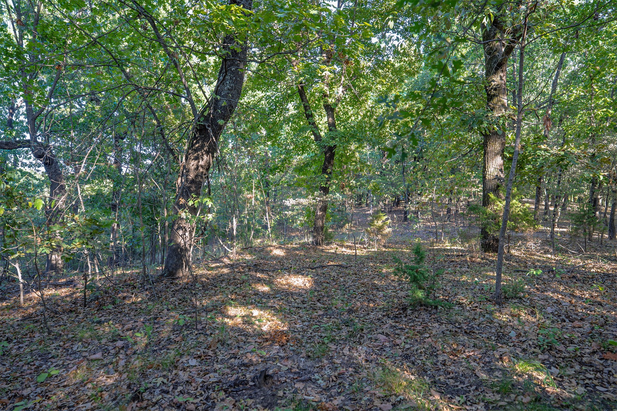 33 N 4256 Road Property Photo 39