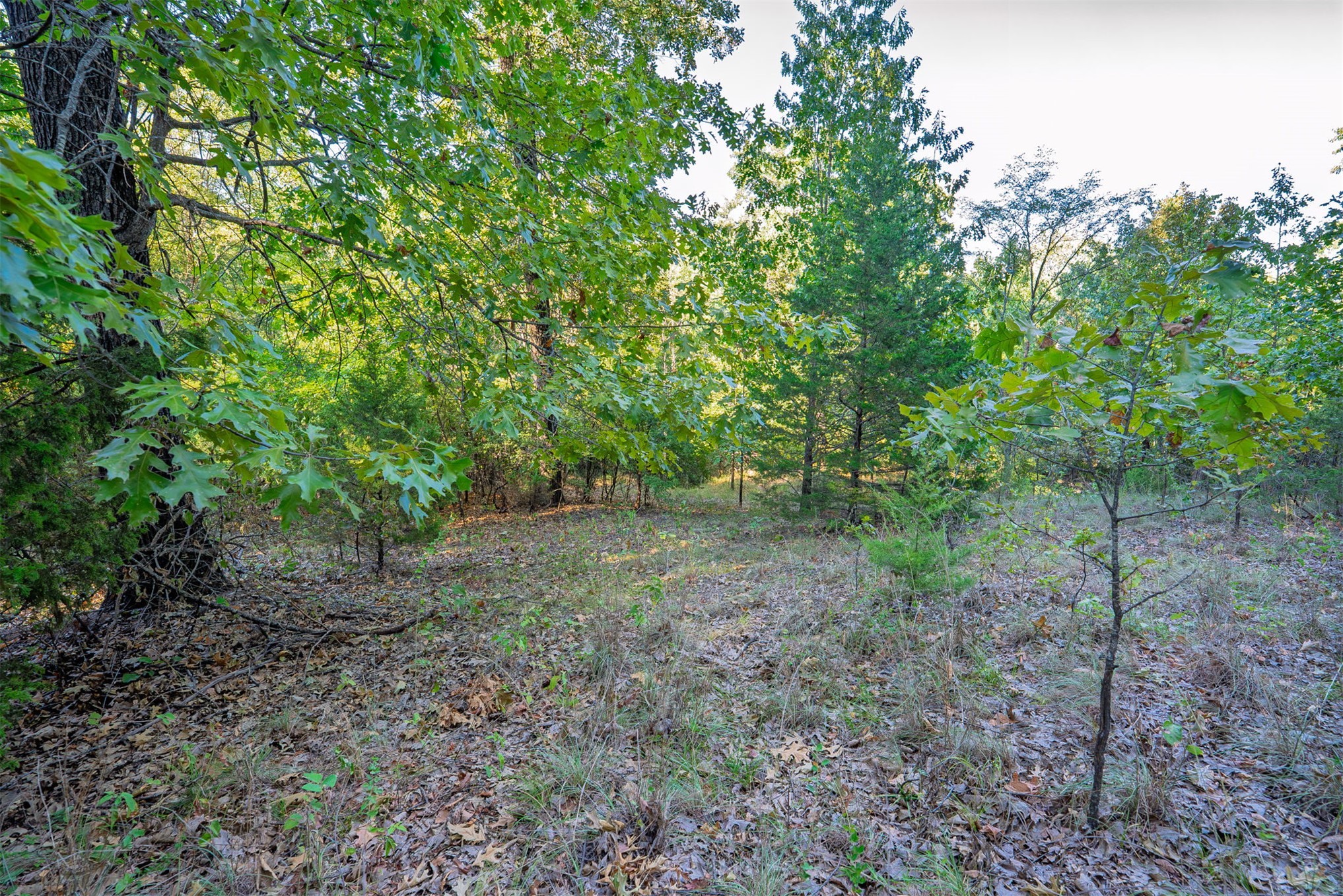 33 N 4256 Road Property Photo 40