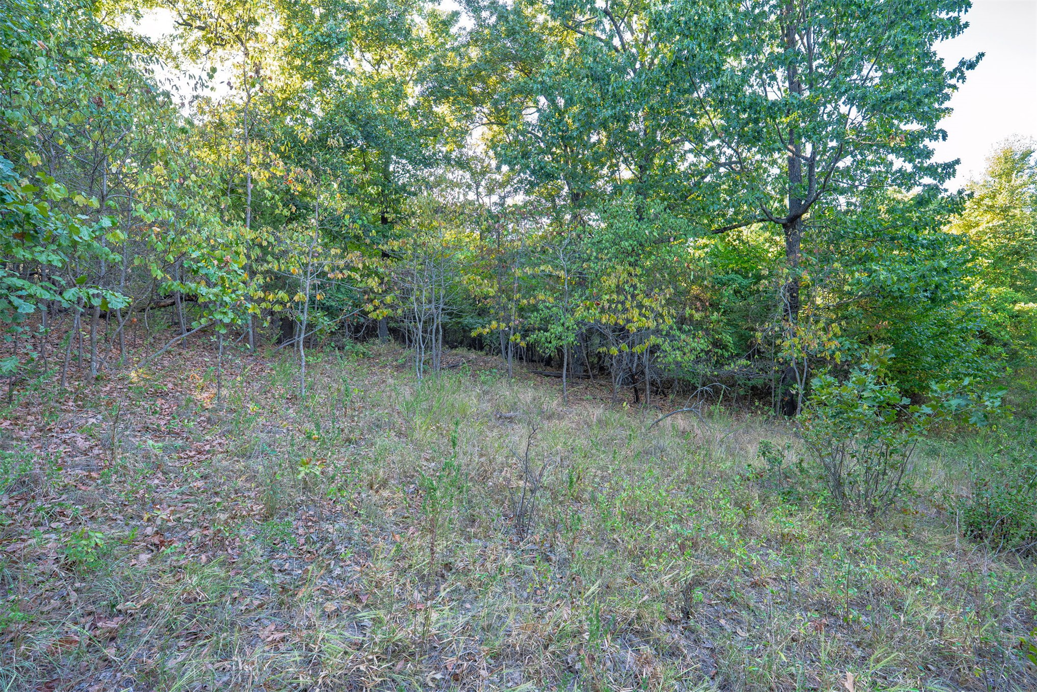33 N 4256 Road Property Photo 41