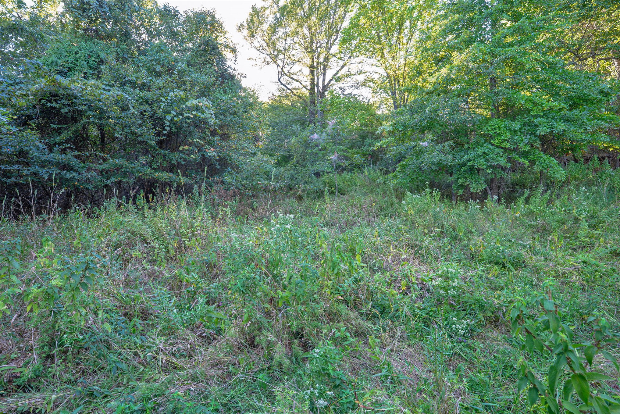33 N 4256 Road Property Photo 42