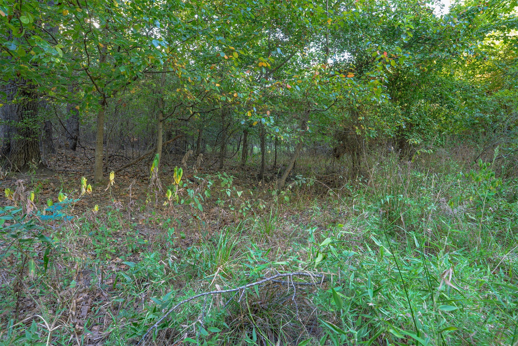 33 N 4256 Road Property Photo 43