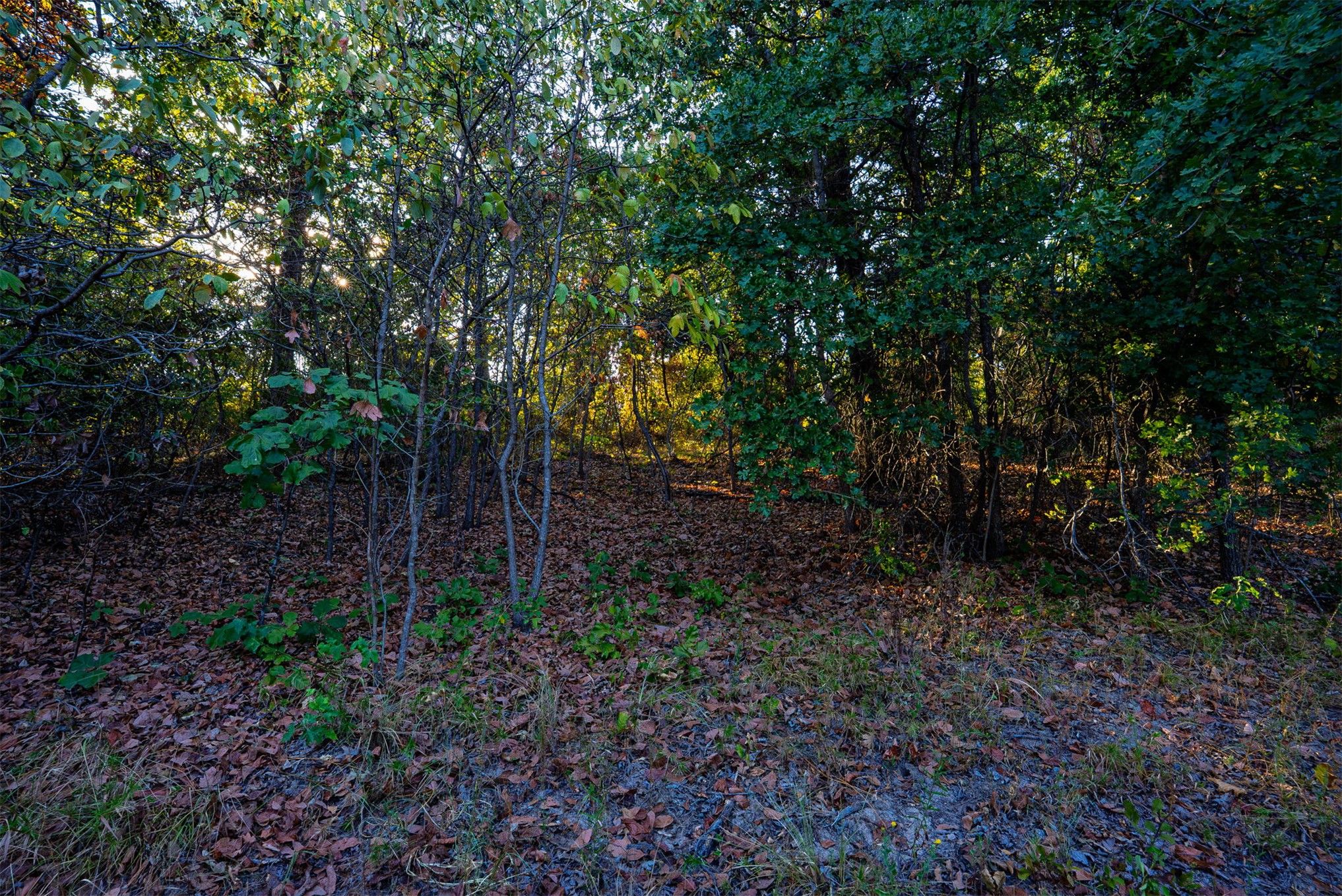 33 N 4256 Road Property Photo 44
